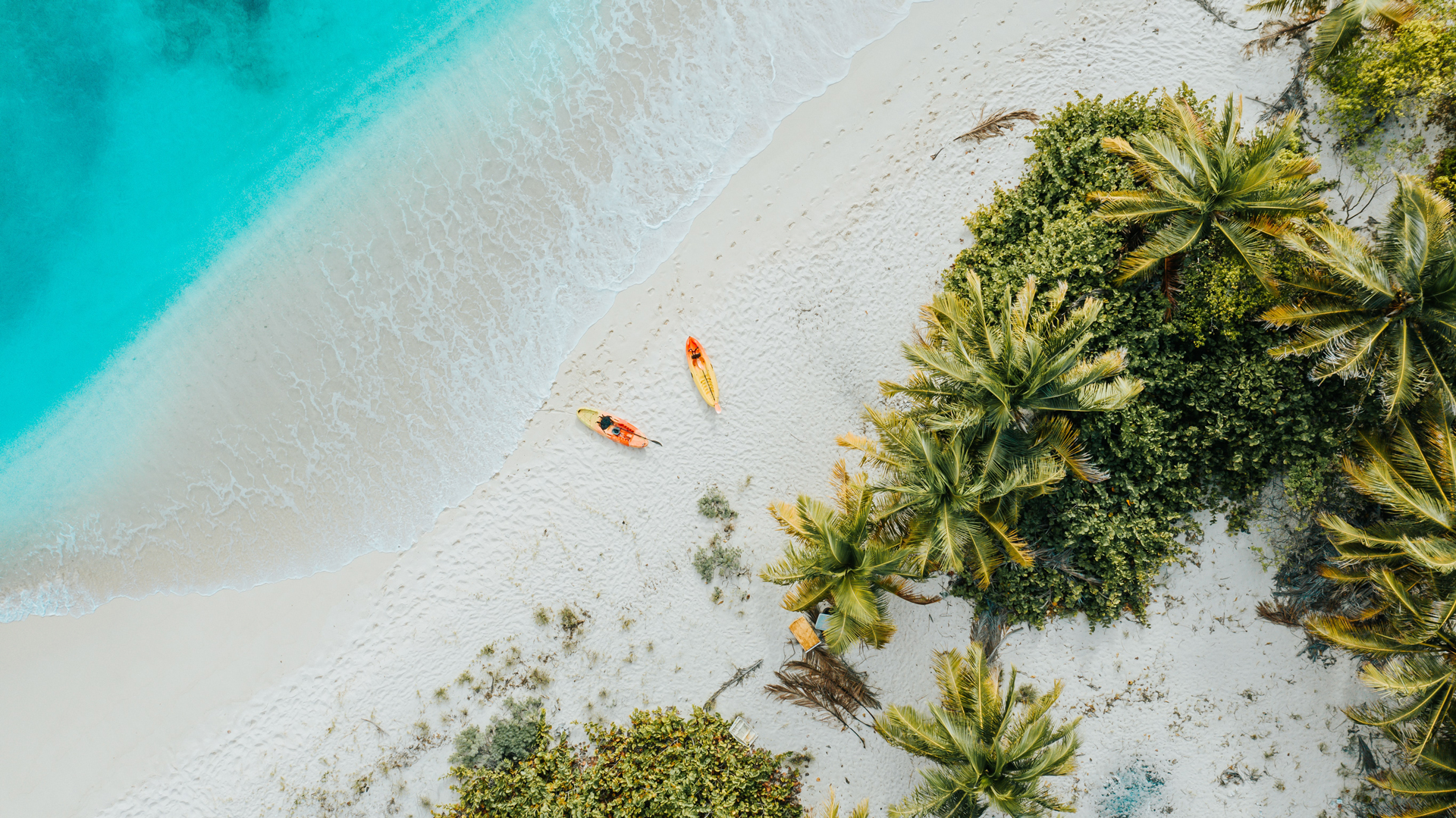An aerial view of two yellow boats on a beach