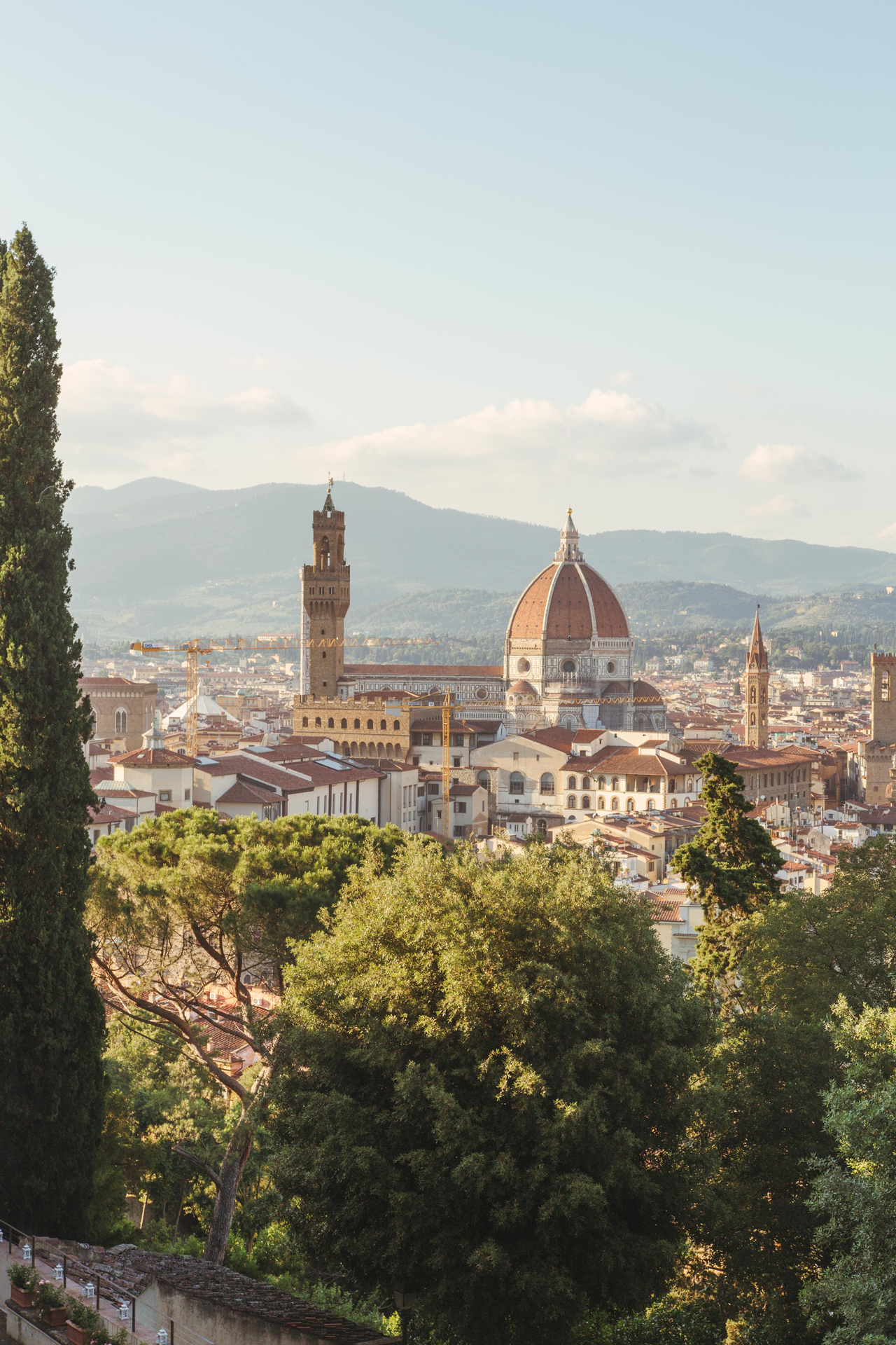 A view of Cathedral of Santa Maria del Fiore over some trees with hills in the background