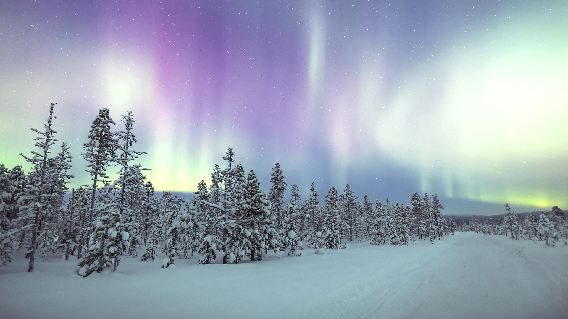 Luxury Ski & Snow, Northern Lights