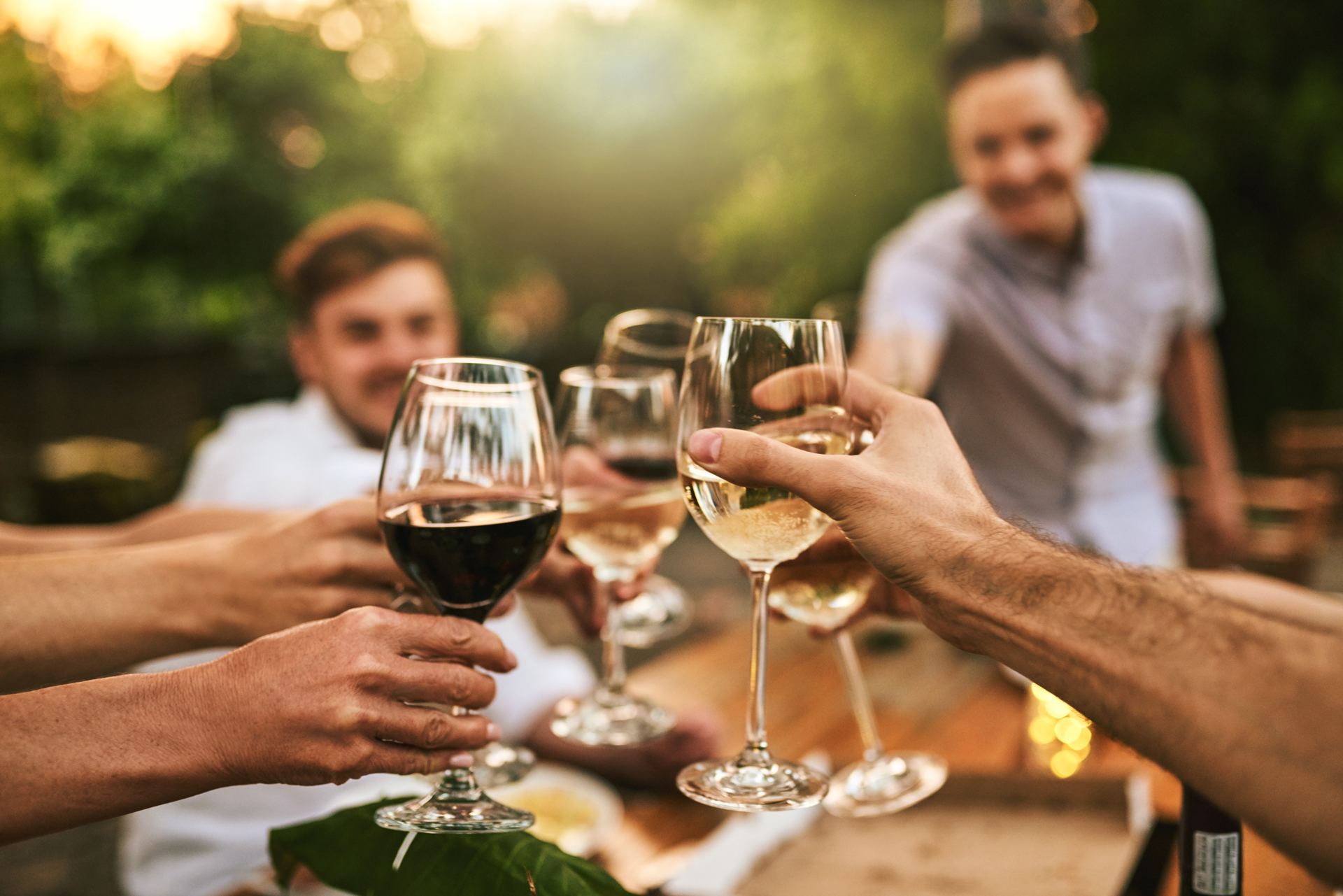 A group of people tapping wine glasses together in celebration