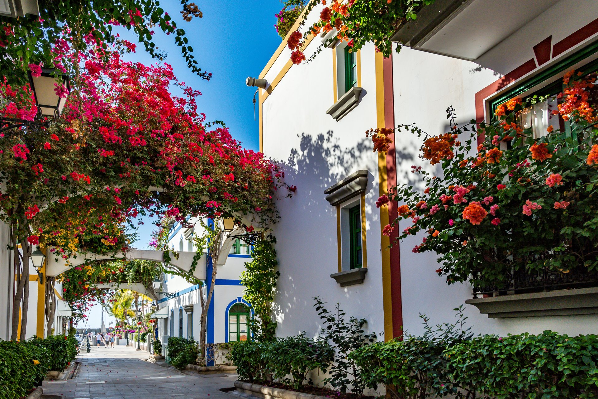 A town street with lots of flowers and plants