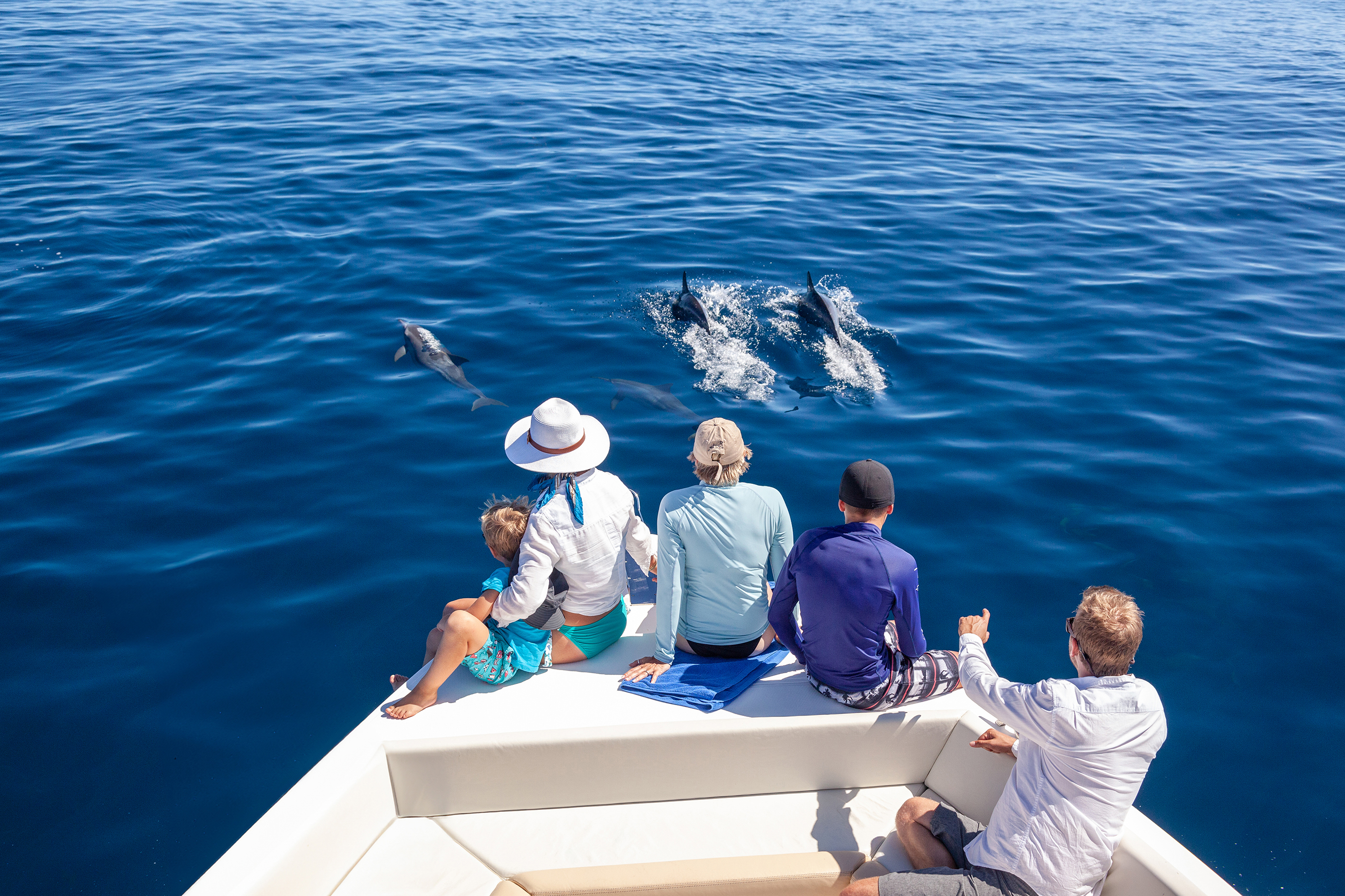 A group of people sitting on the bow of a boat looknig at dolphins swimming ahead