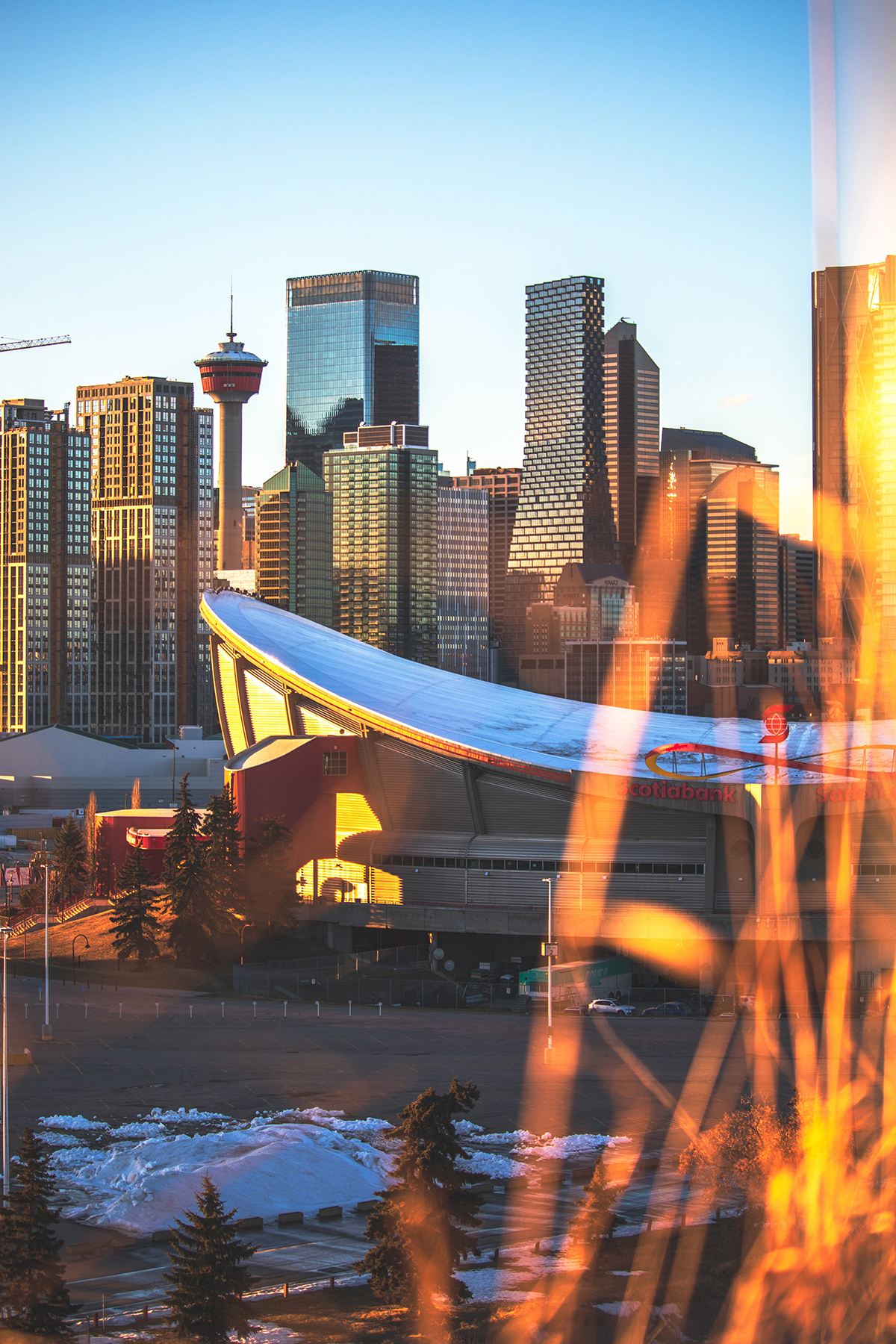 Portrait of Calgary Scotiabank Saddledome and skyline at sunset 