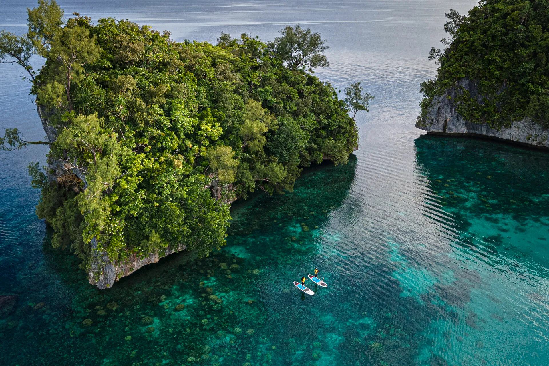 Two people paddleboarding across the clear calm ocean besides a large rock formation in Palau