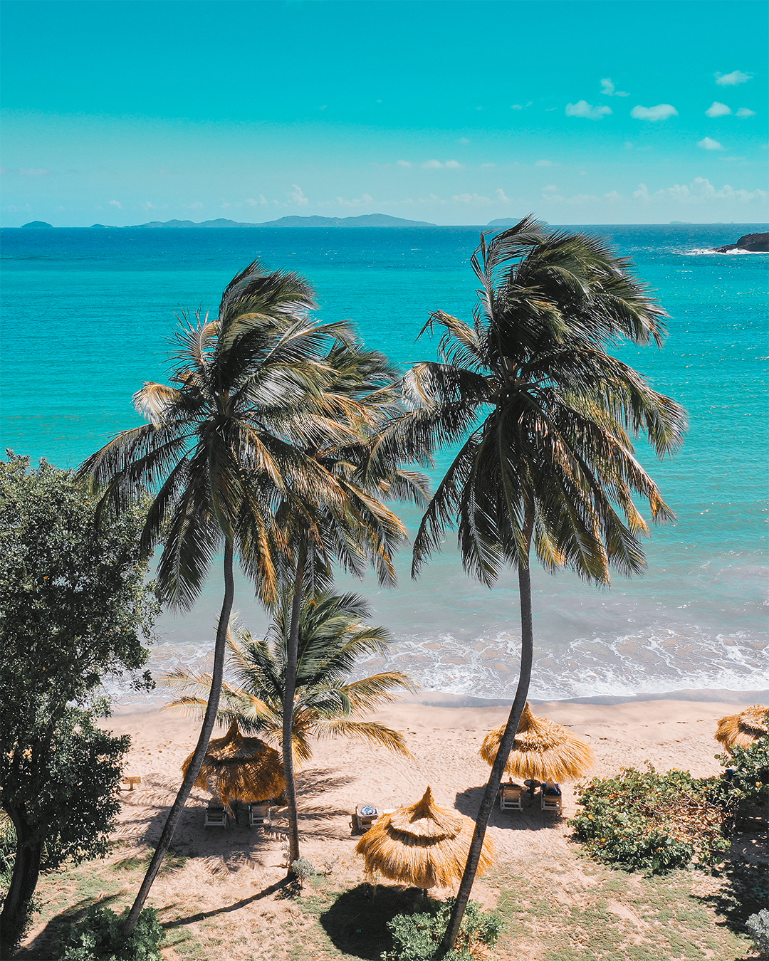 Two tall palm trees swaying in the wind on a sunny beach with thatched umbrellas and a clear blue sea in the background.