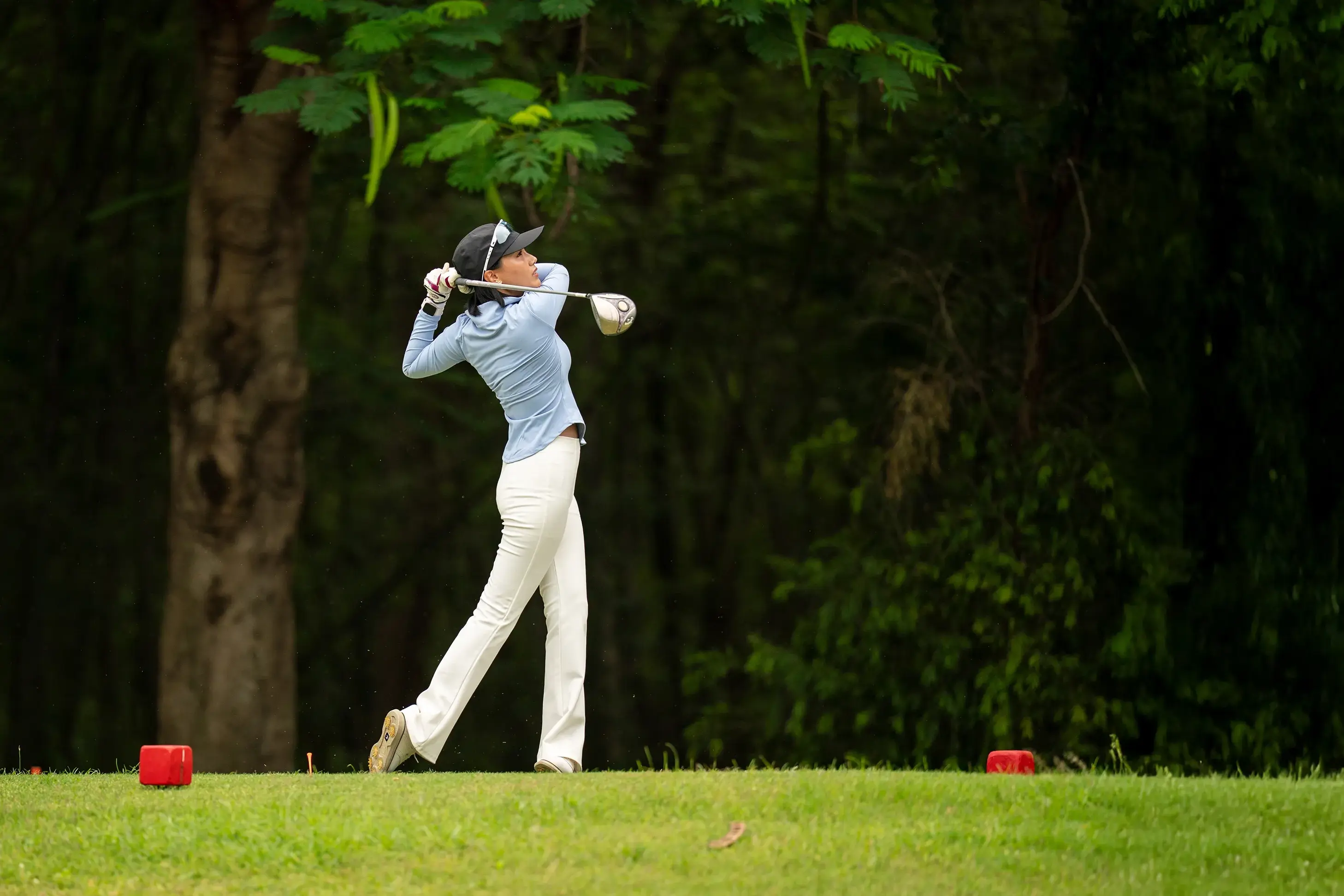 Golfer swinging a club on a lush green golf course surrounded by trees.