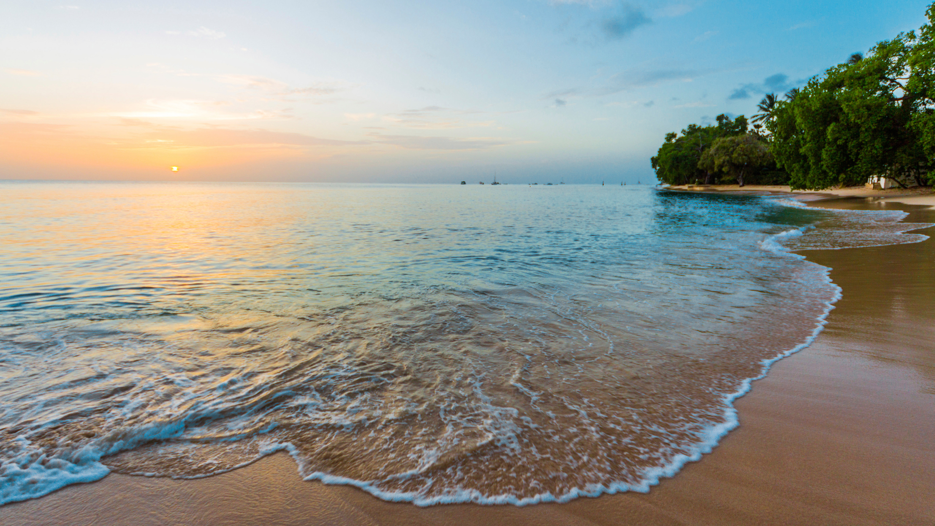 A serene beach scene at sunset with gentle waves lapping the shore, a clear sky, and a lush green tree line.