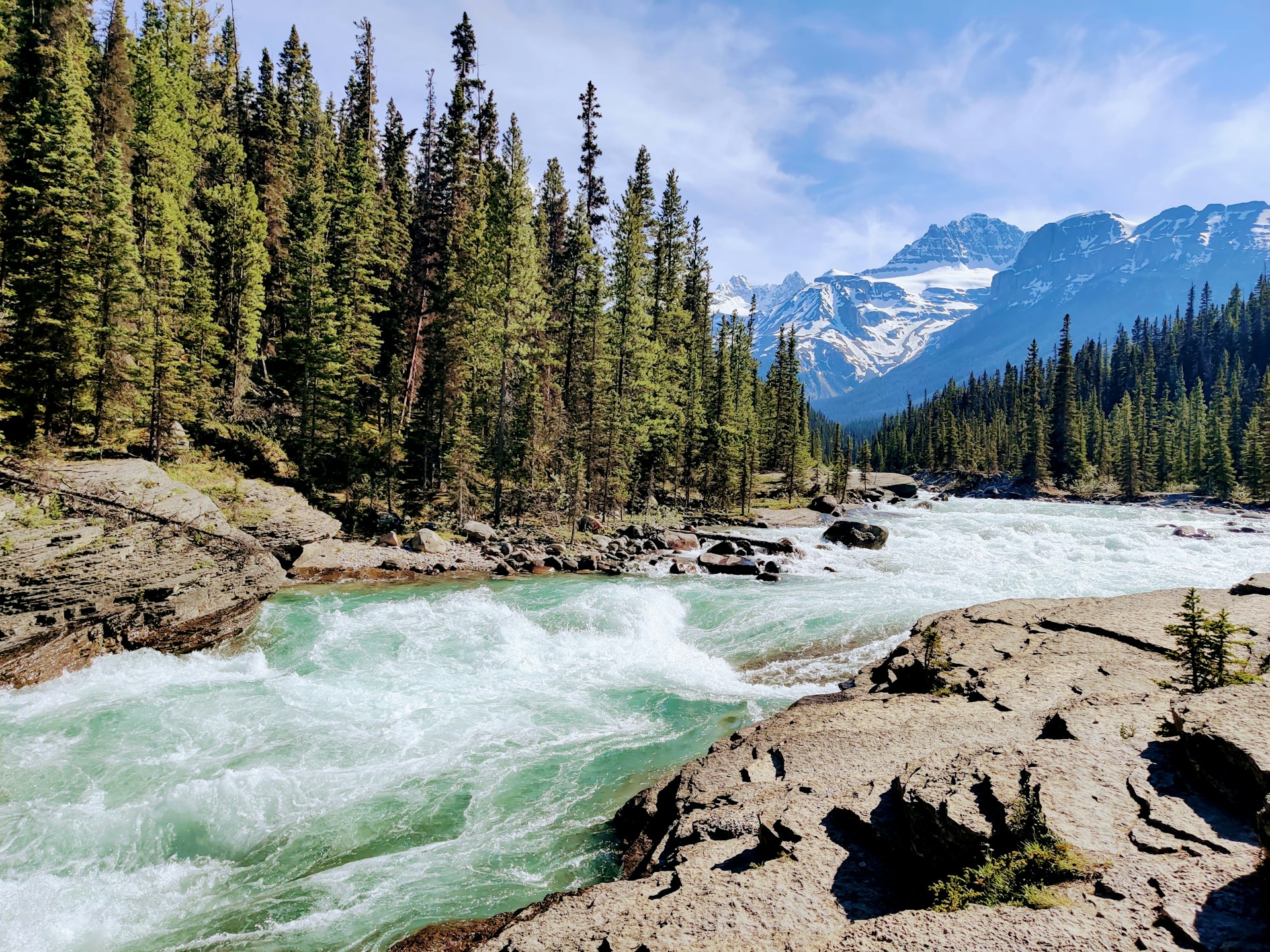 A river with rapids flows through a forested area with tall evergreen trees, and snow-capped mountains in the background under a blue sky