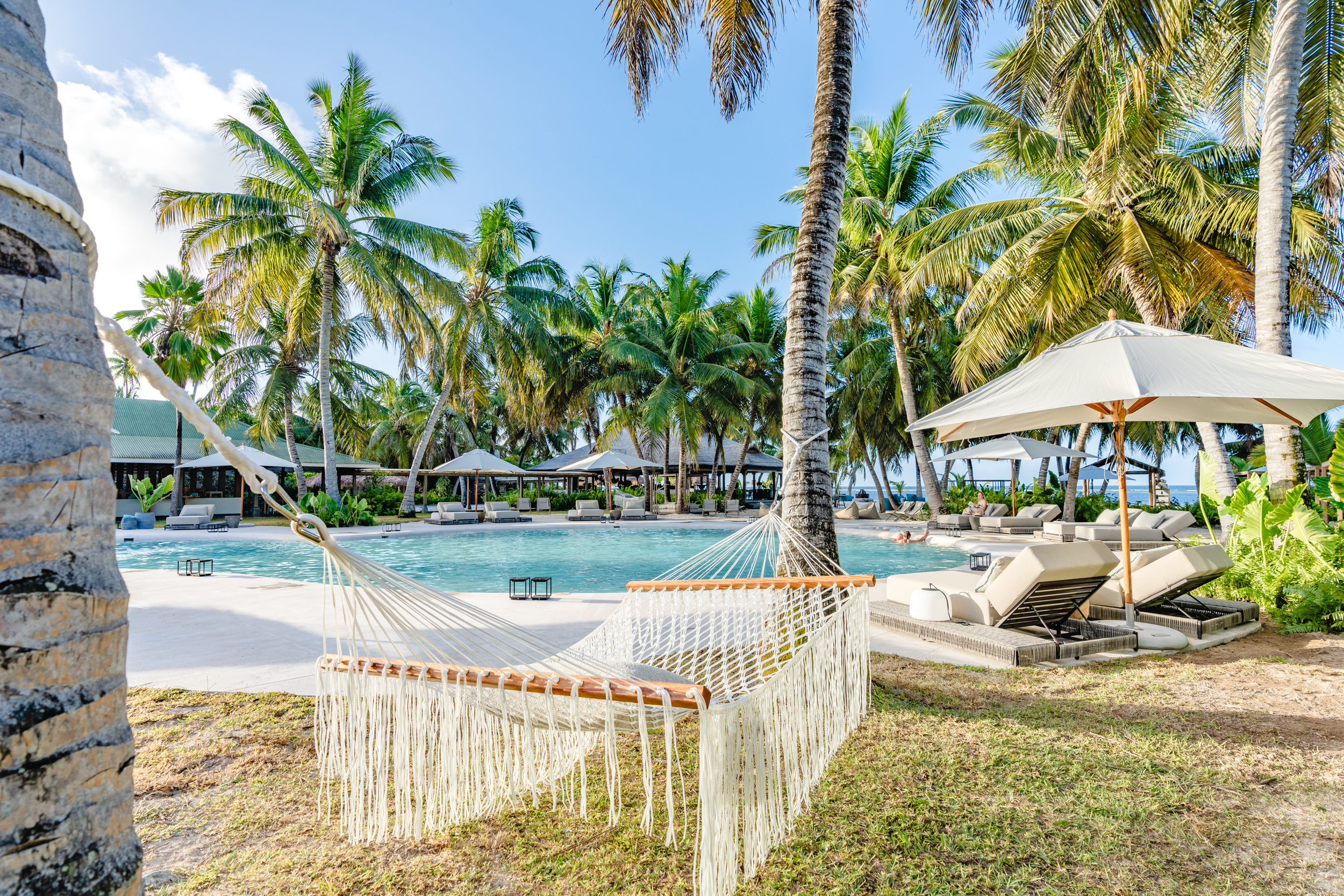 A chic hammock between two palms beside a pool lined with loungers