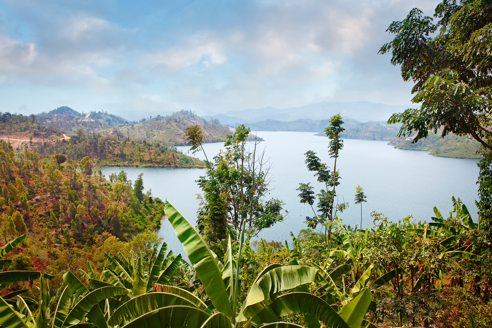 A large lake surrounded by green trees and vegetation