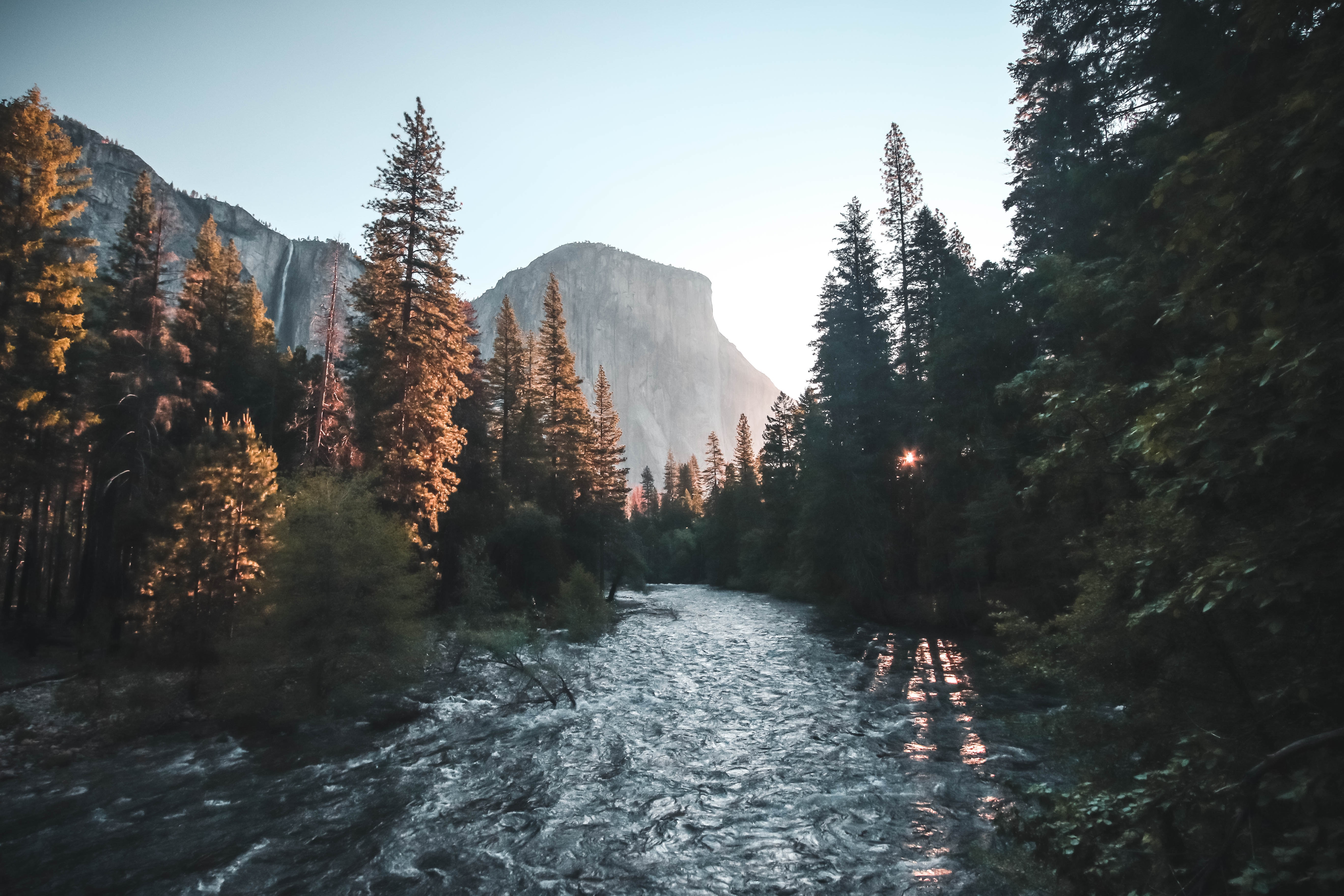 A river running through tall trees towards big stone cliff mountain