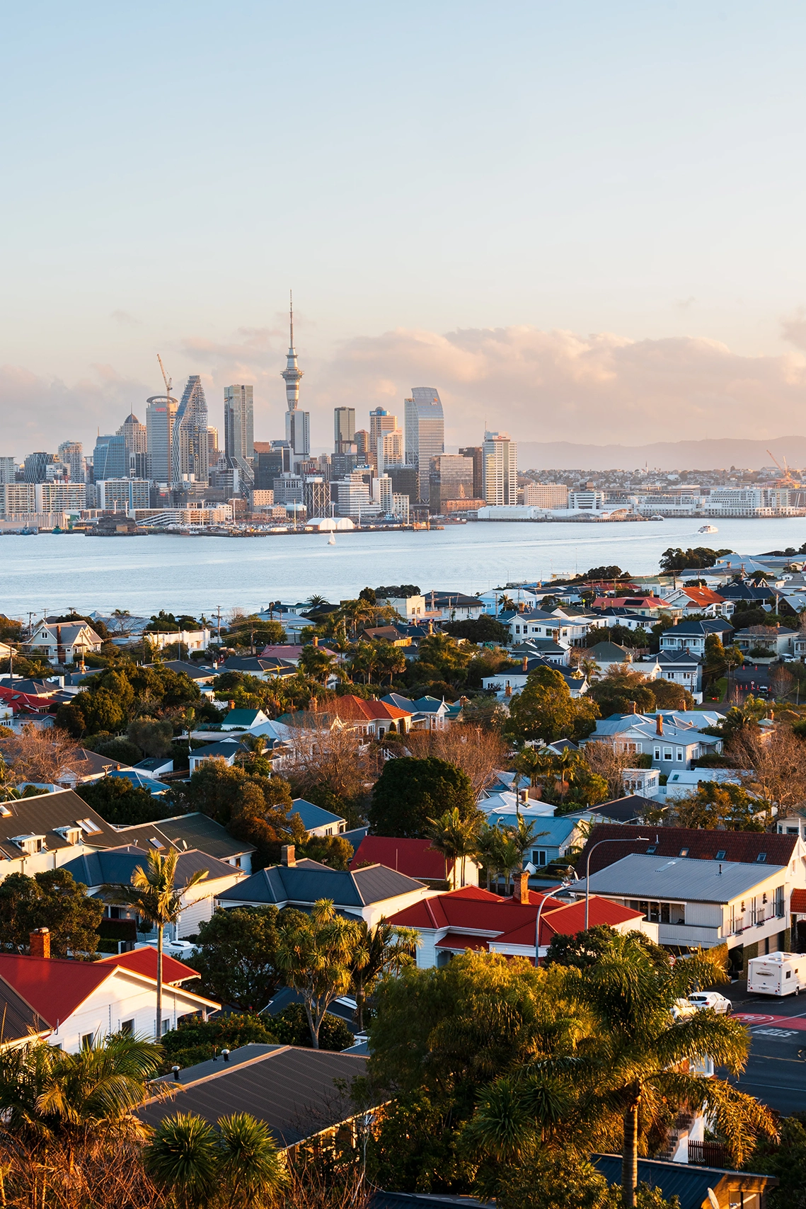 Auckland skyline in New Zealand