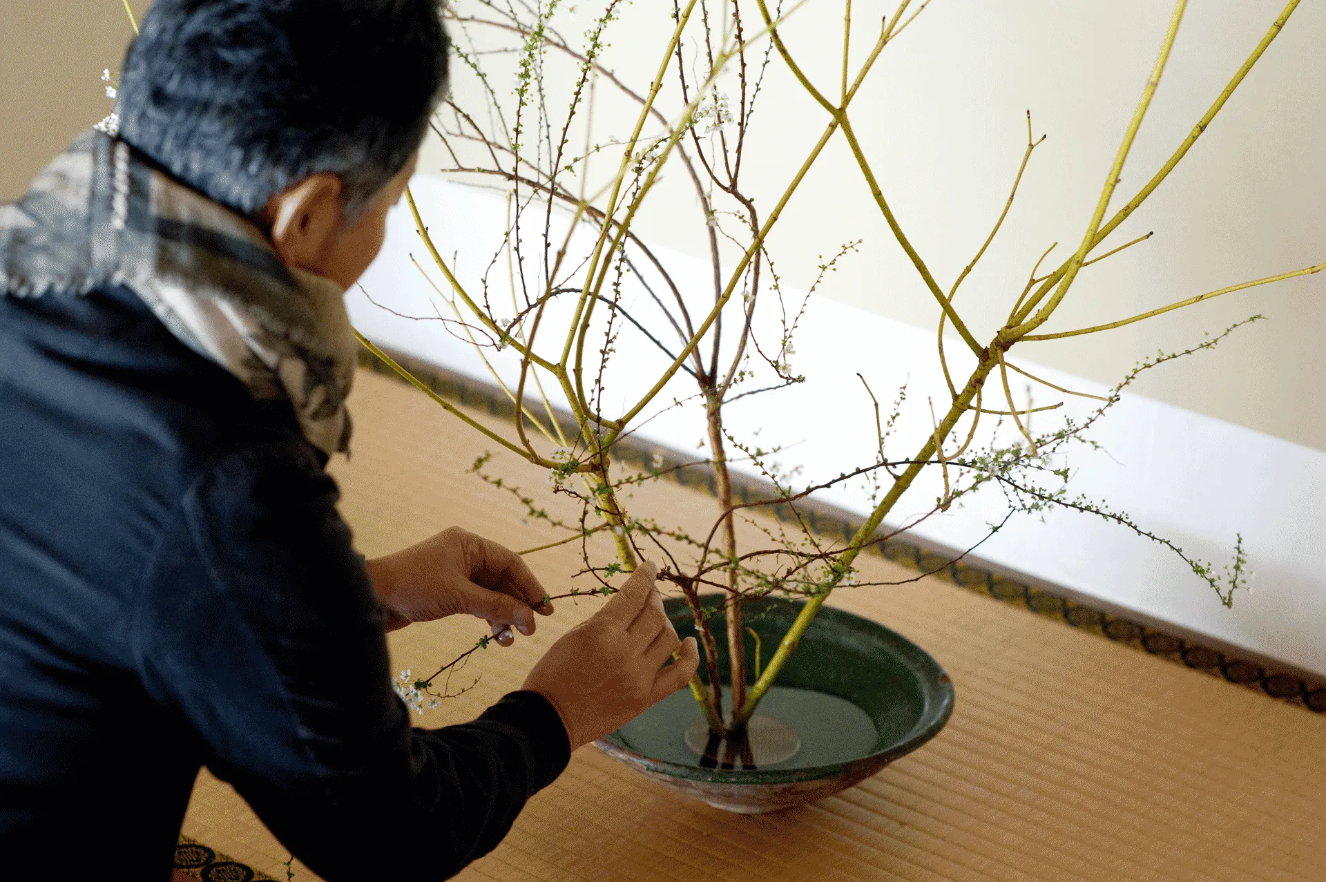 A person arranging the branches of a plant in a vase of water 