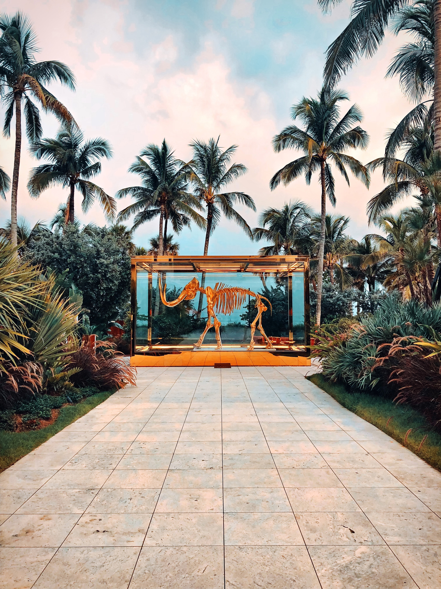 A skeleton in a glass case at the end of a stone walkway surrounded by palm trees