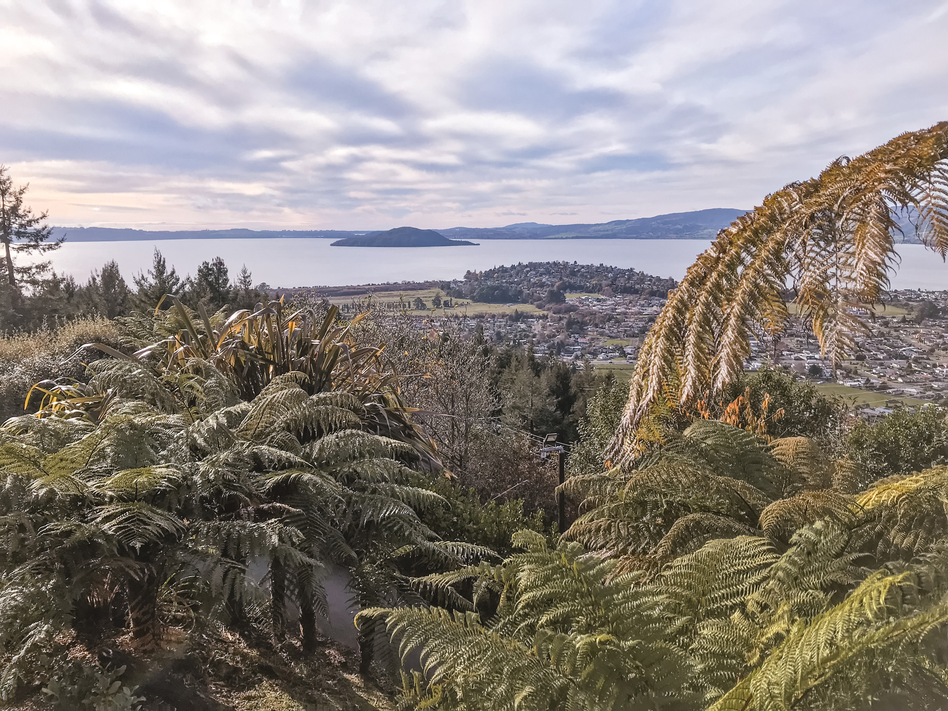 A view over ferns of the lakeside town of Rotorua, New Zealand
