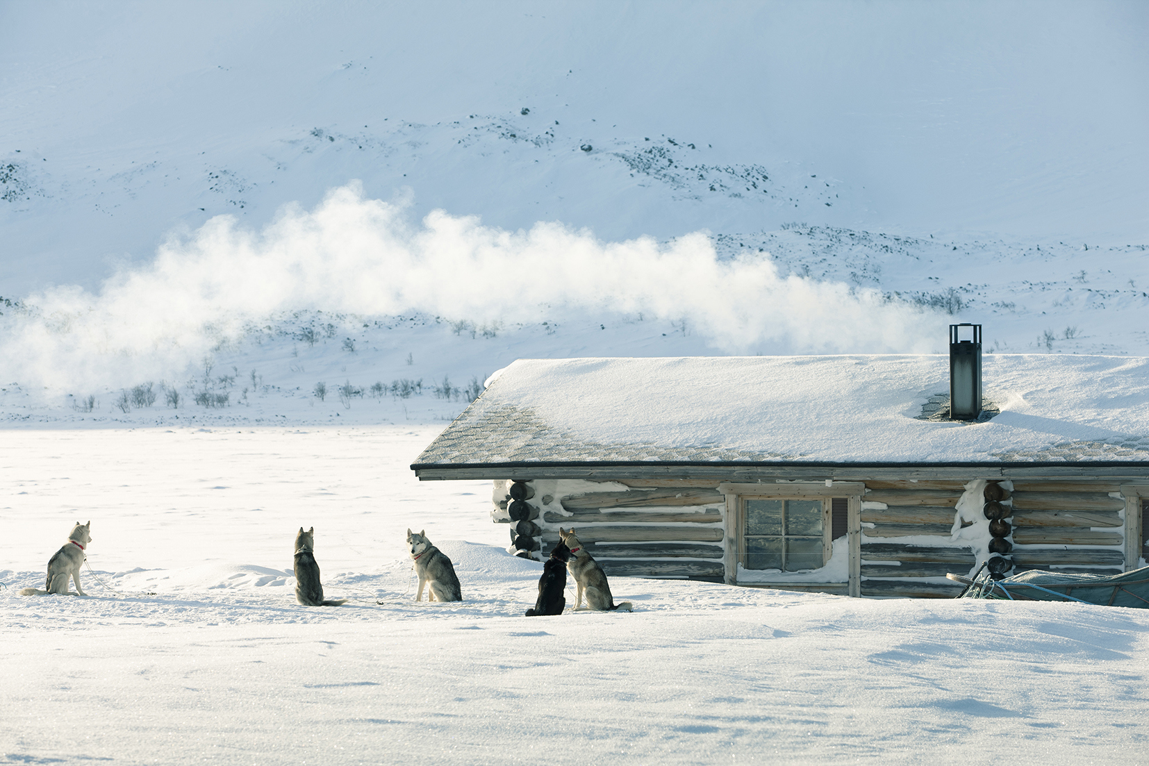 Group of huskies sat in the snow outside a hut with smoking chimney