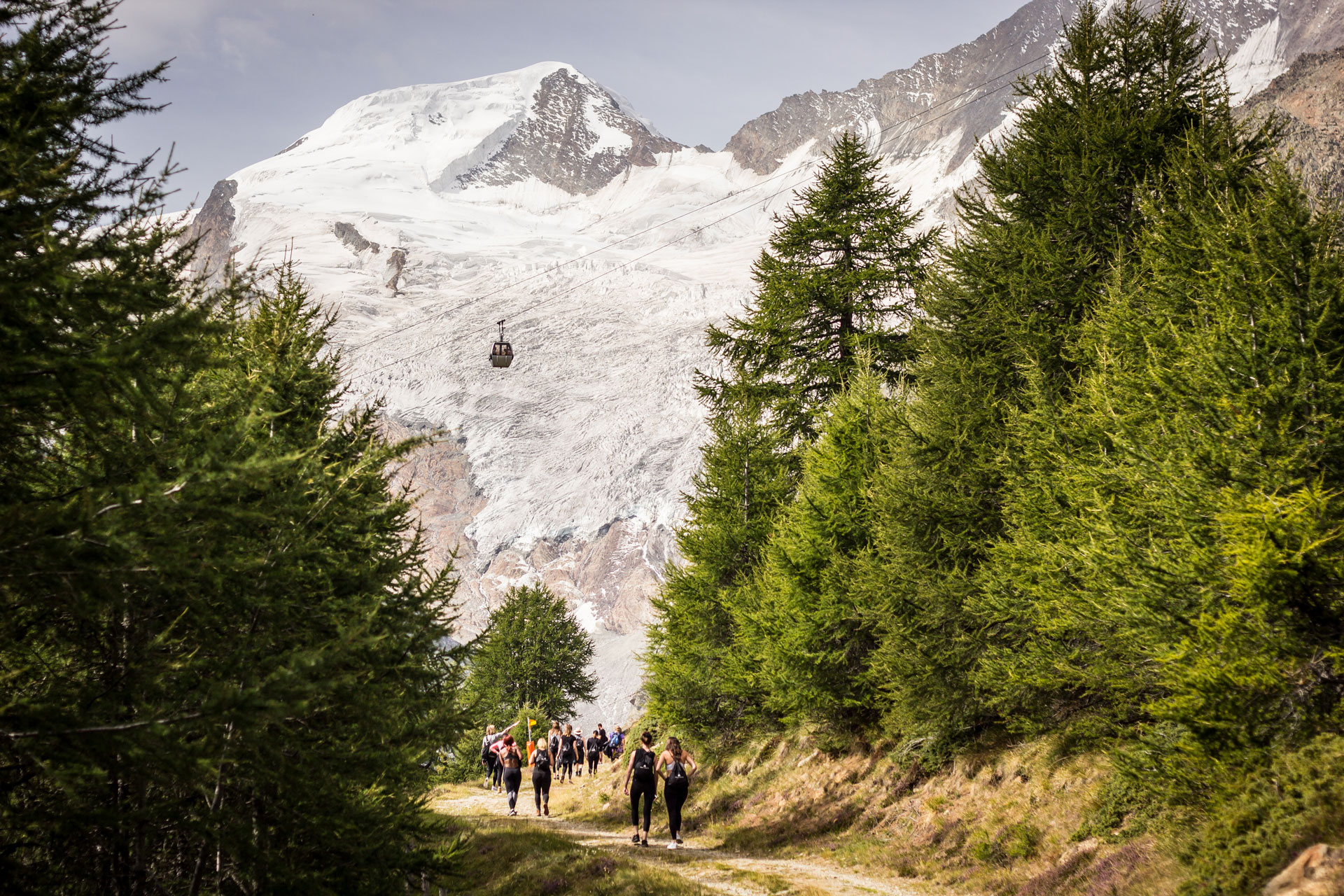 A group of people hiking between green trees with a ski lift and snow covered mountain in the background