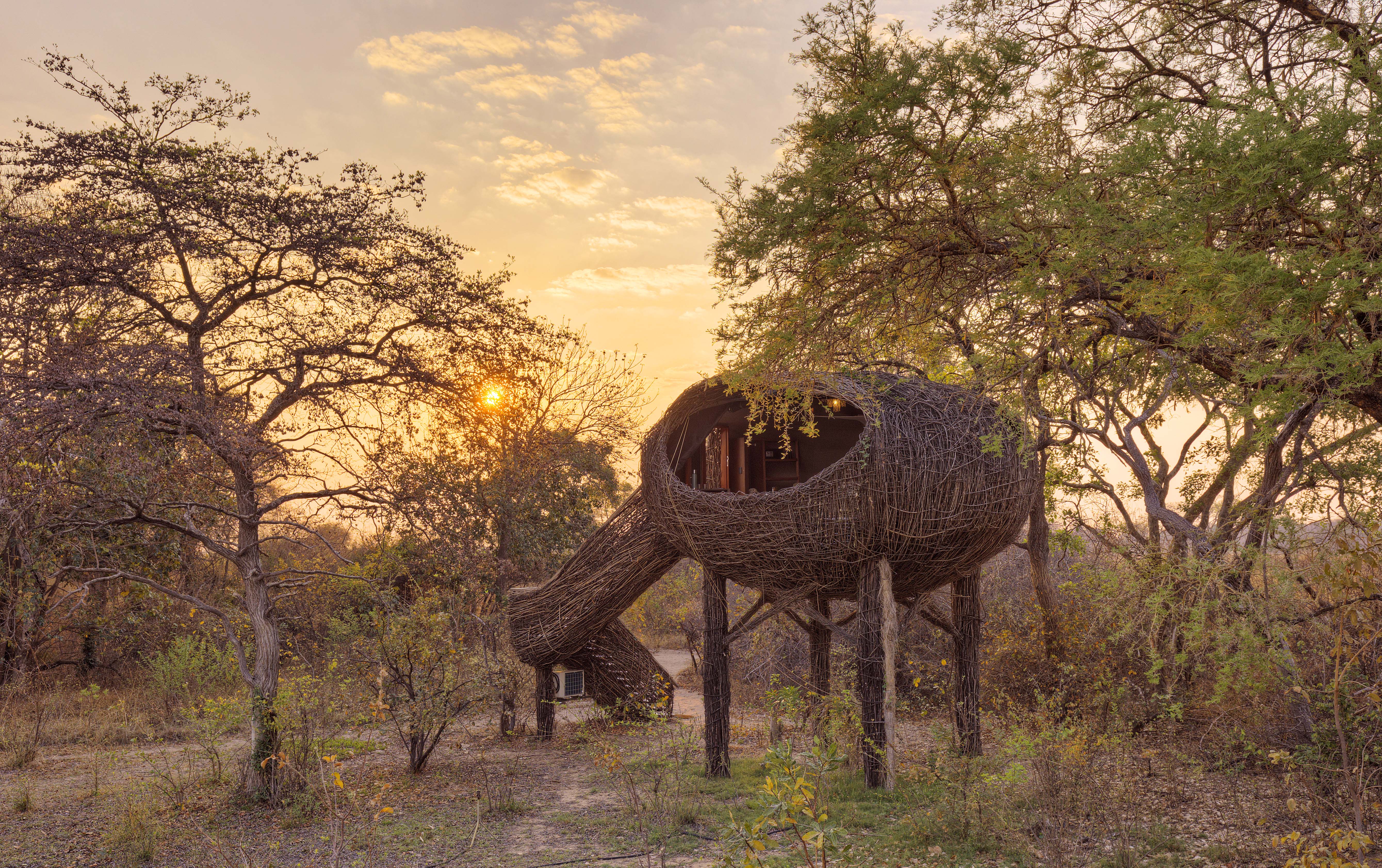 Unique nest treehouse accommodation at Chisa Busanga Camp in Zambia's wilderness during sunset.