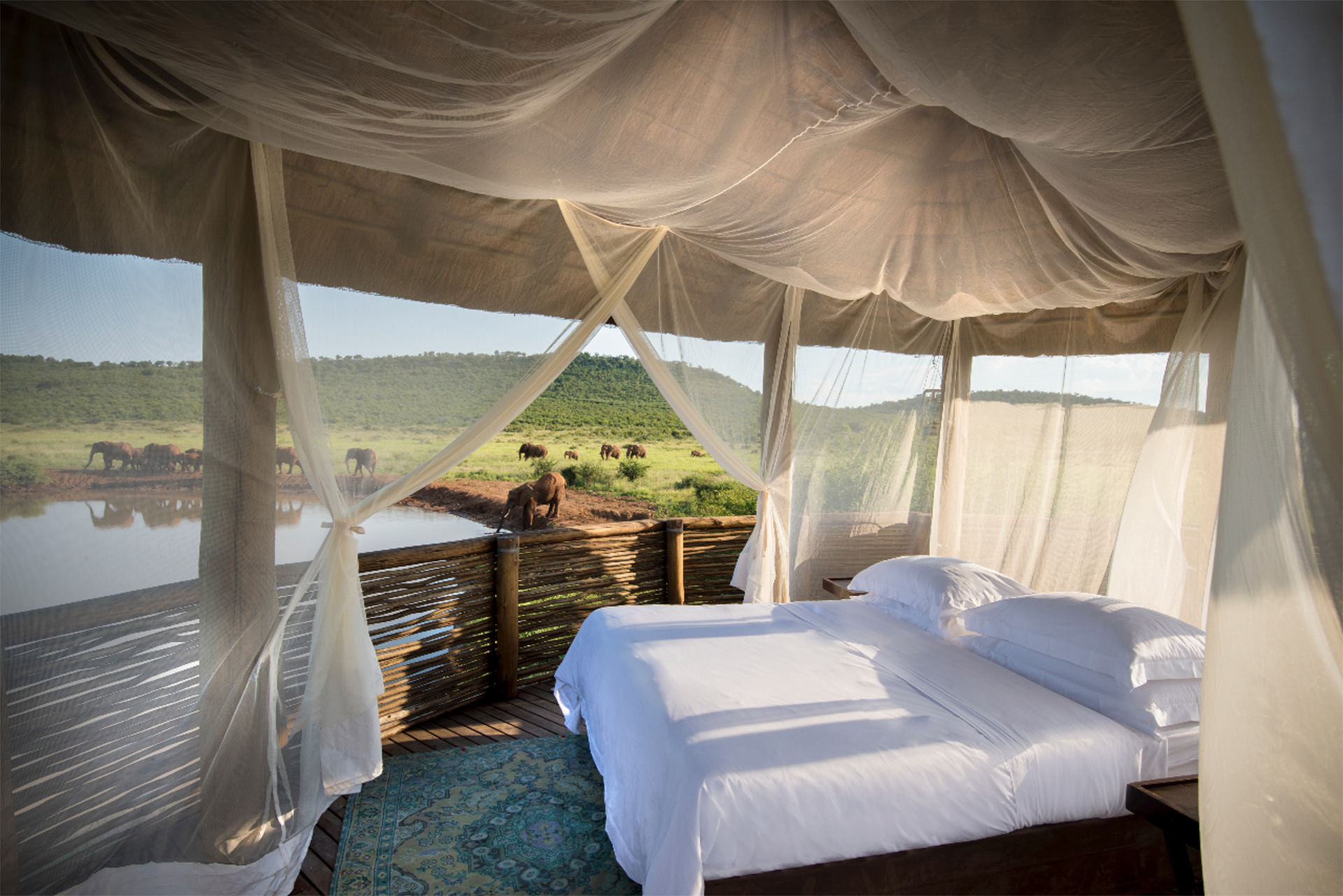 A bed in a outdoor shelter with elephants drinking in the background
