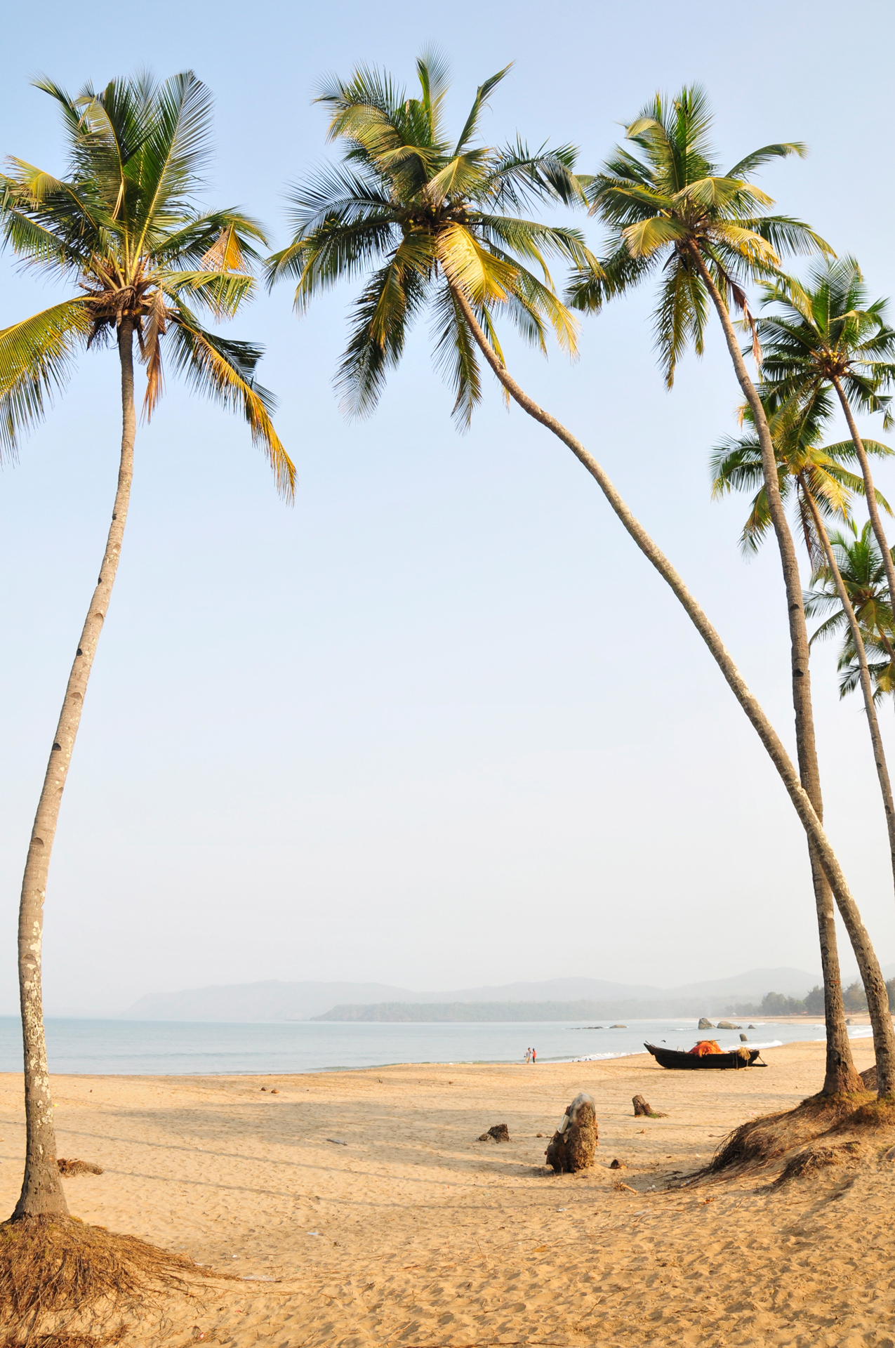 A view out to sea from a beach with trees