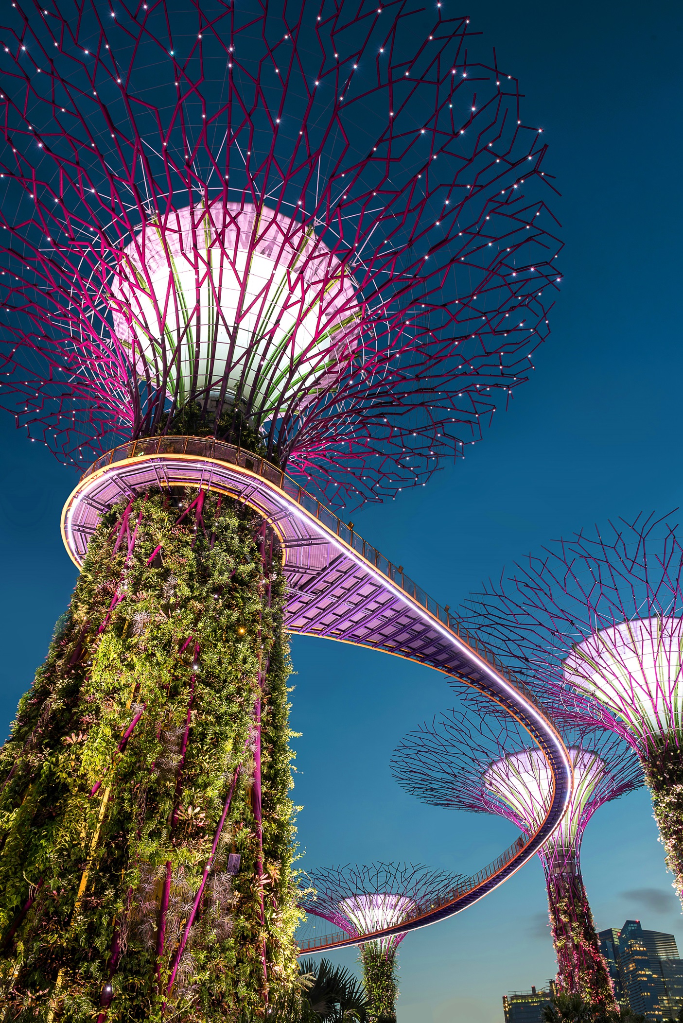 A vibrant, futuristic tree-like structure from Singapore’s Gardens by the Bay lights up the night sky with neon purple branches, drawing families into a magical evening garden adventure