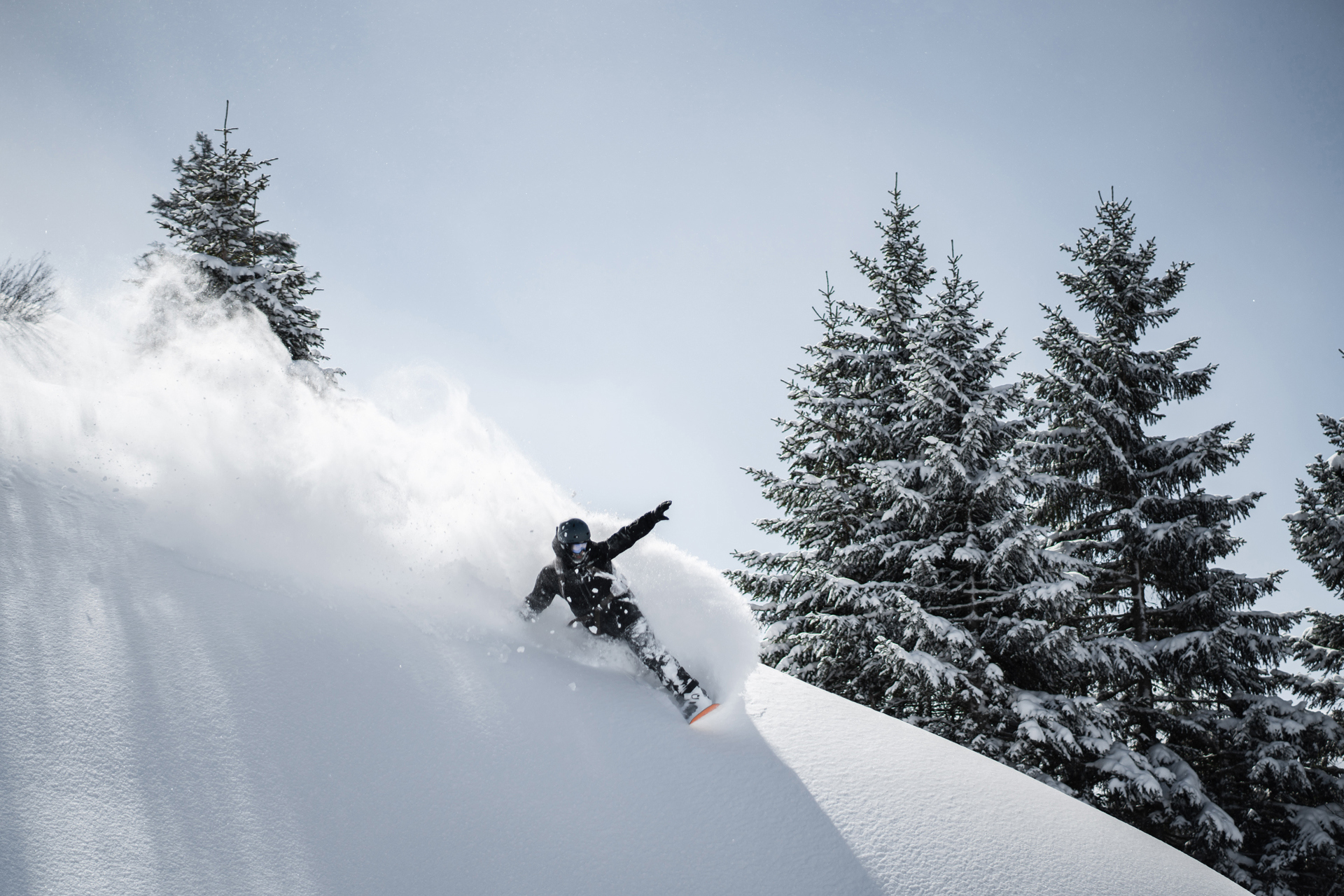 A person snowboarding on powdery snow with trees in the background