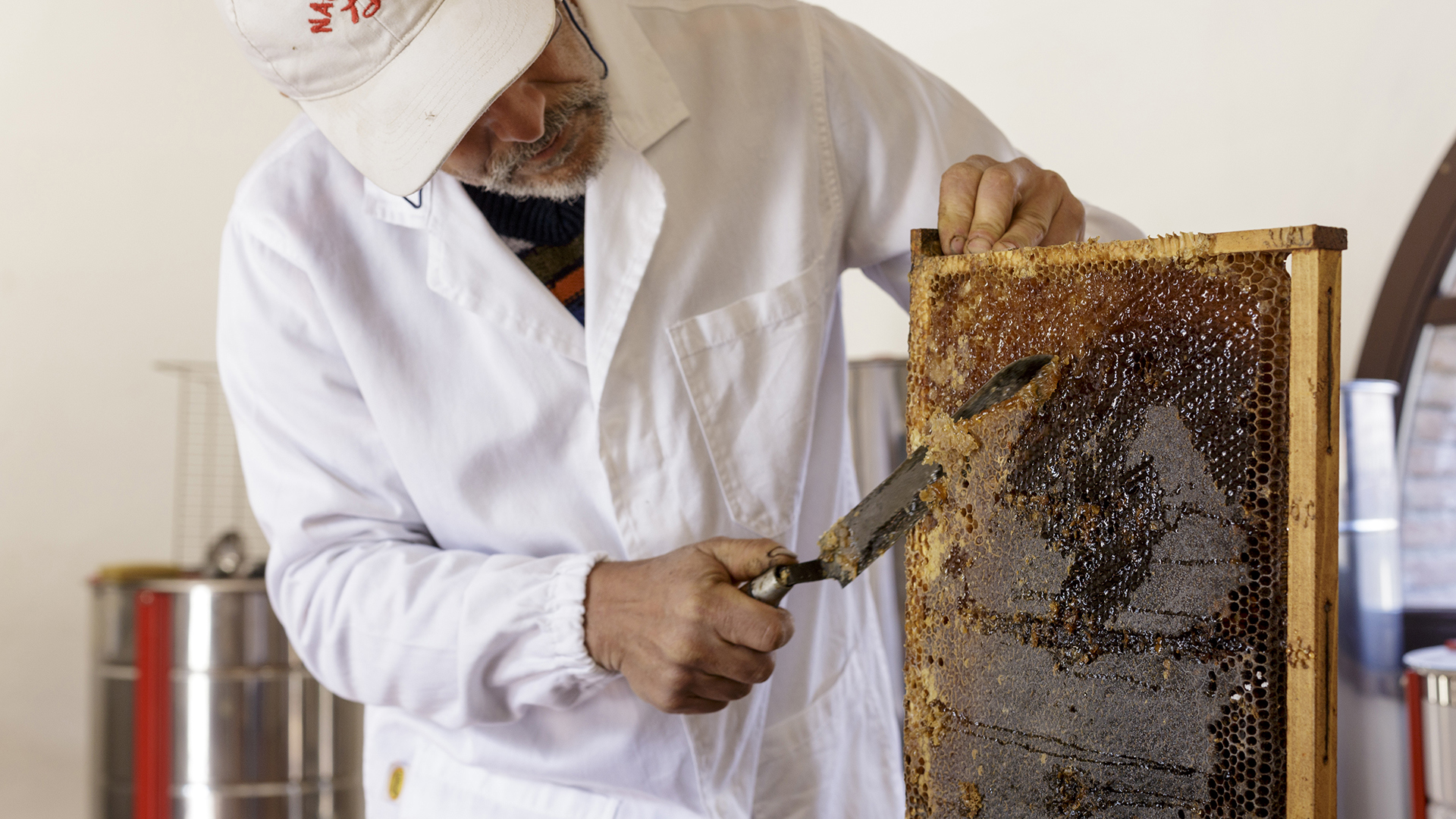 Europe, Italy, Tuscany, Borgo Pignano, Bee Hive Tour