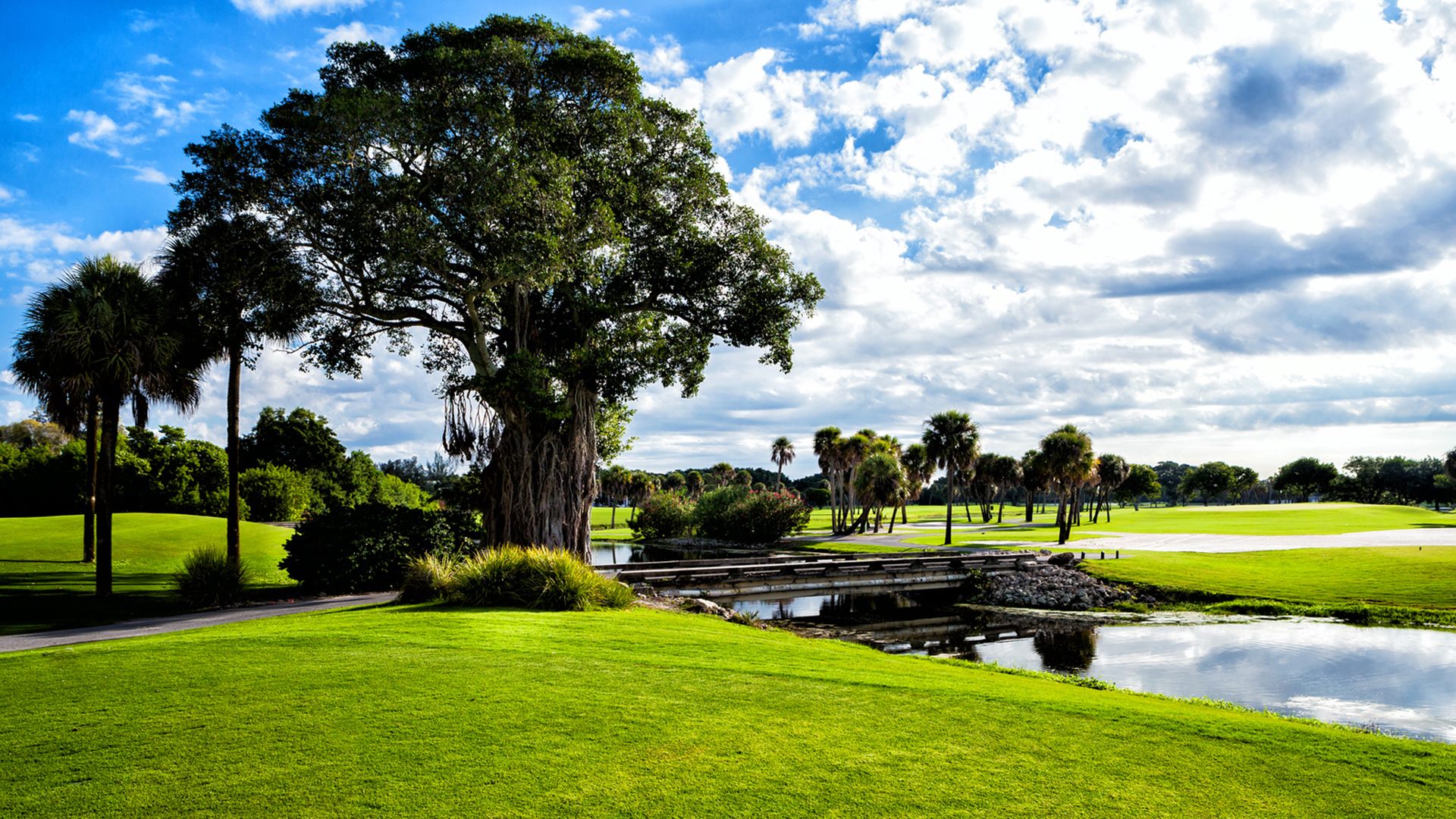 USA, Luxury Florida Holidays, The Resort at Longboat Key Club, Golf