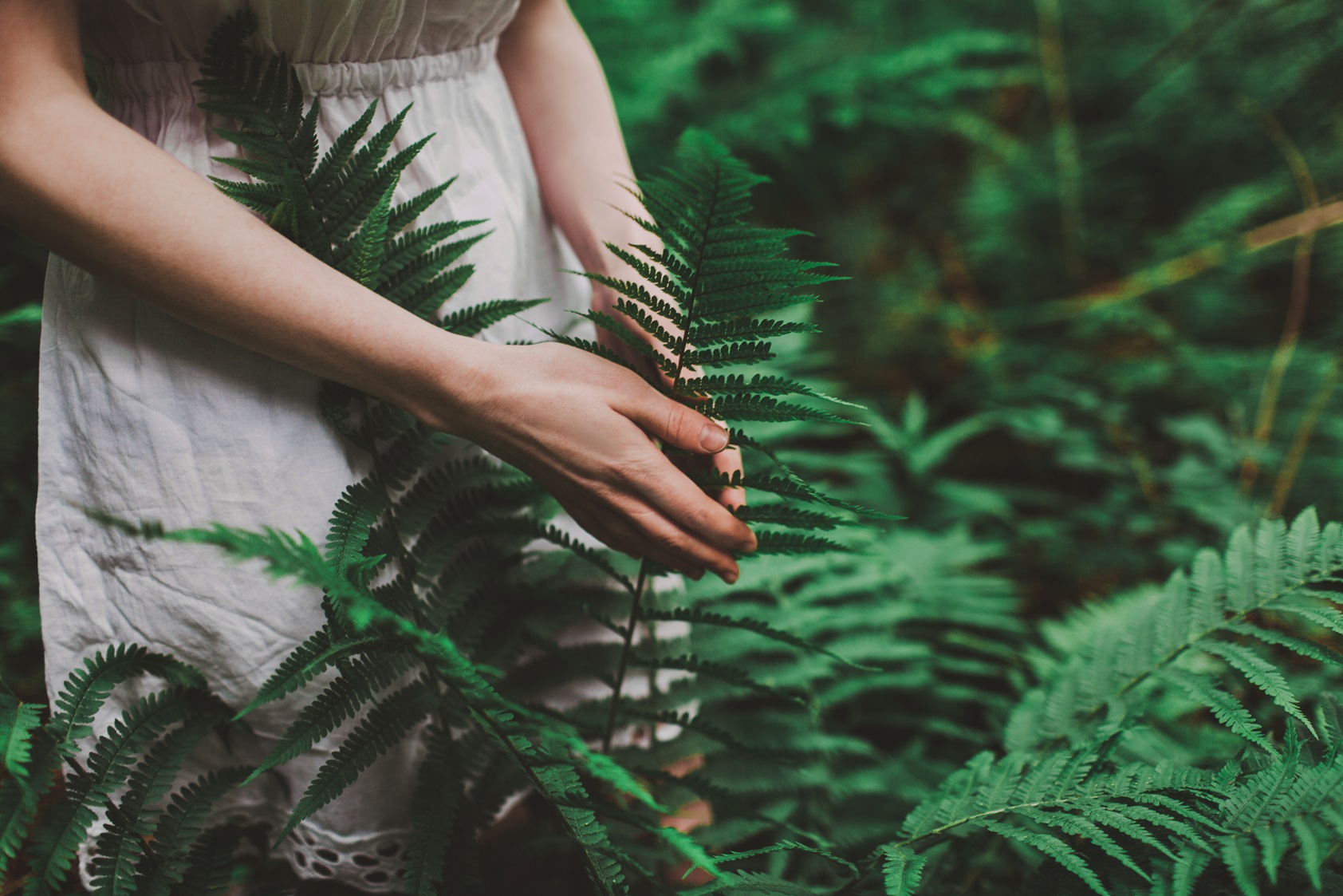 A person in a white dress gently holding green fern leaves in a lush forest.