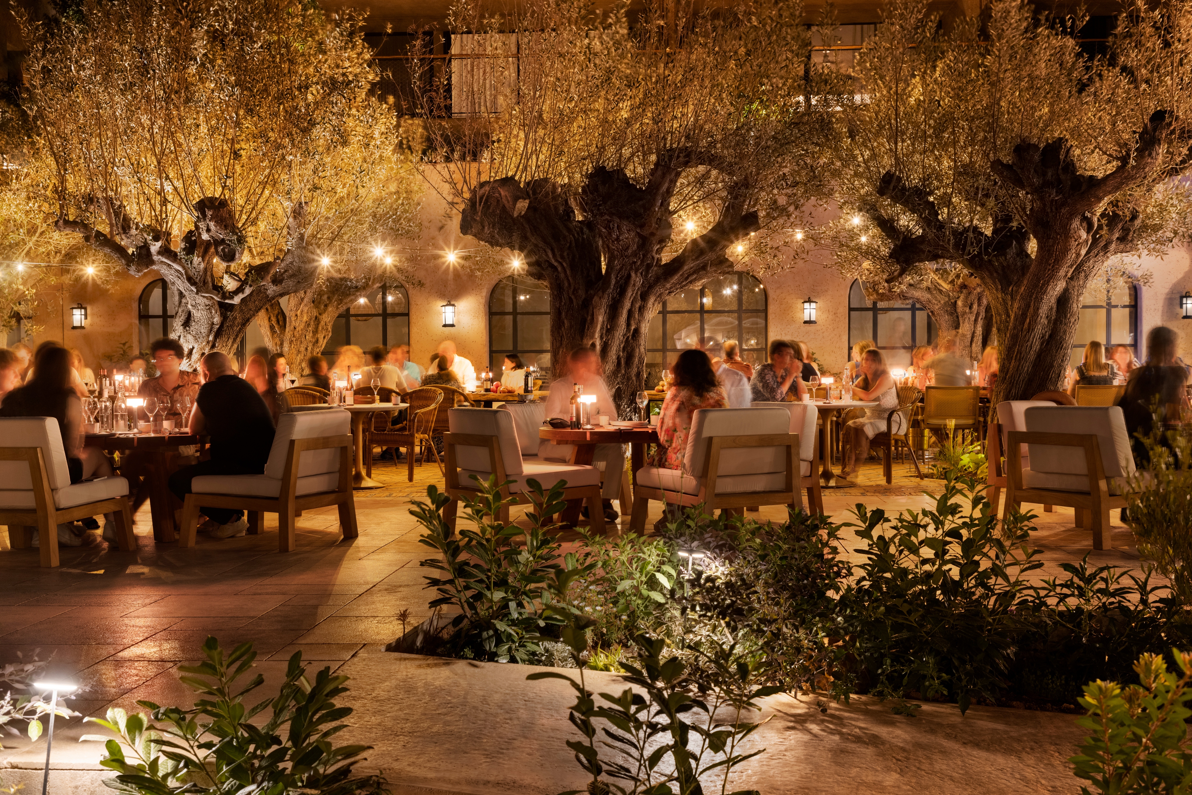 Outdoor restaurant with people dining under illuminated trees at night.