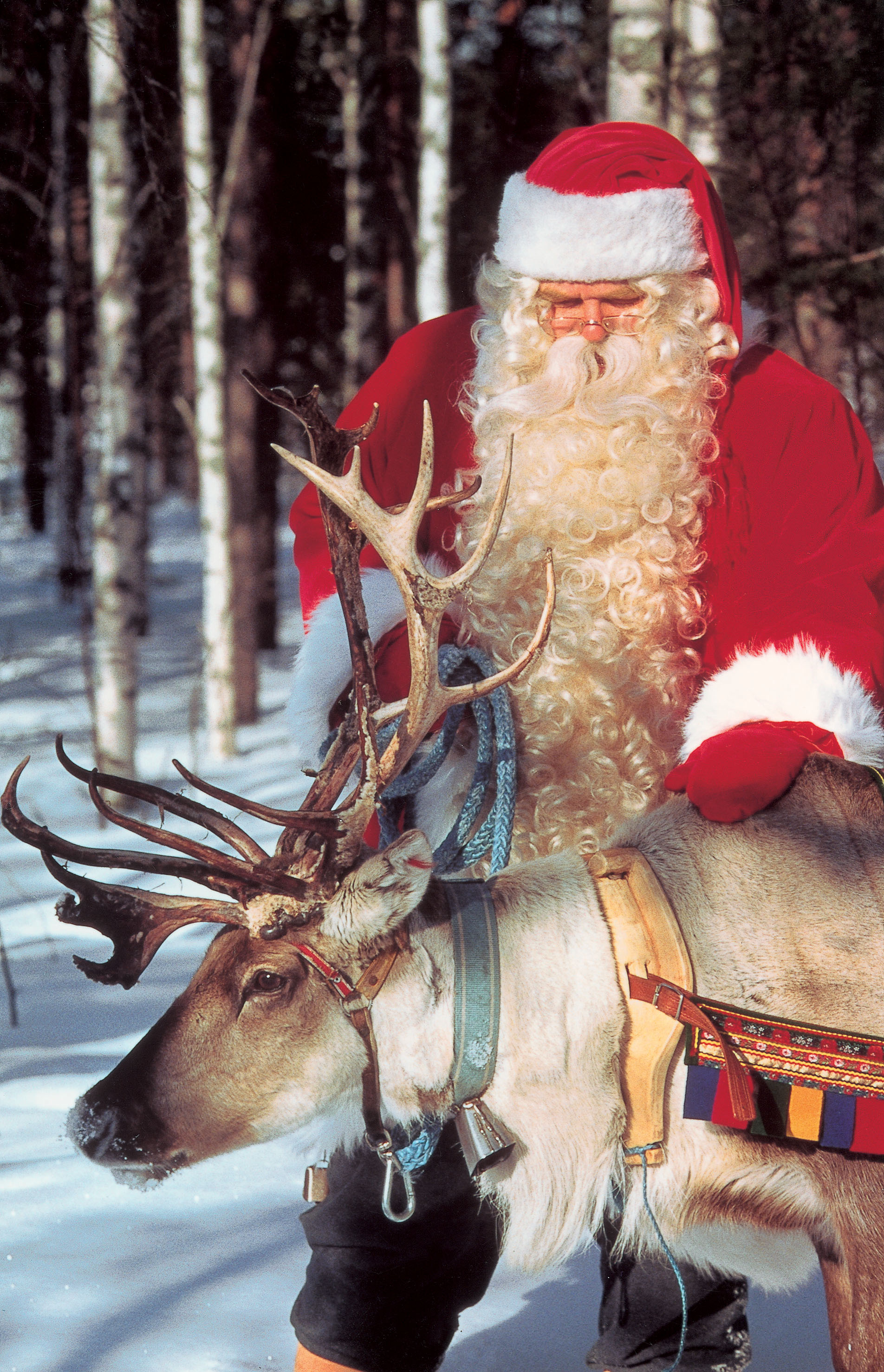 A Santa Claus patting a reindeer