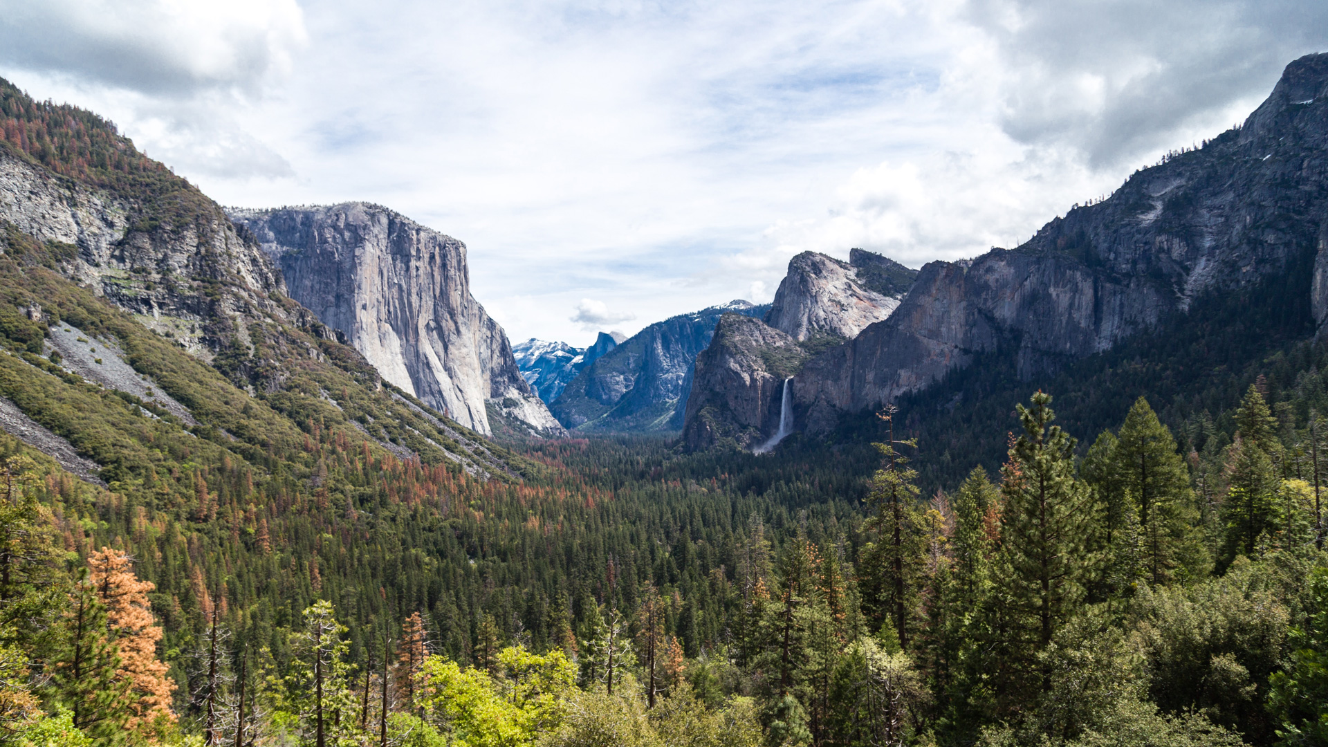 Tall stone mountains and brown tree forest in the valley