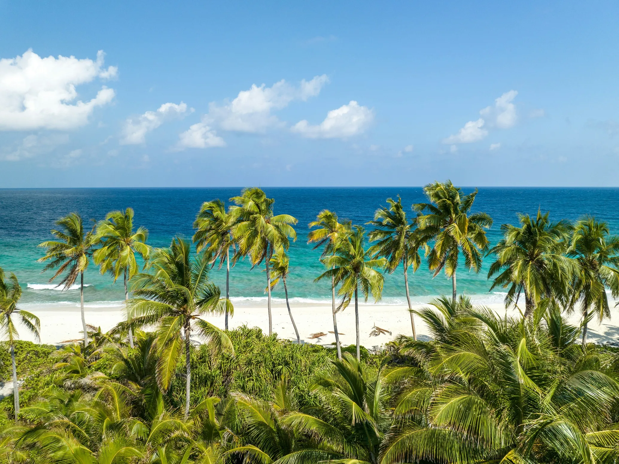 A tropical beach with tall palm trees, white sand, and clear blue ocean under a bright sky with scattered clouds.