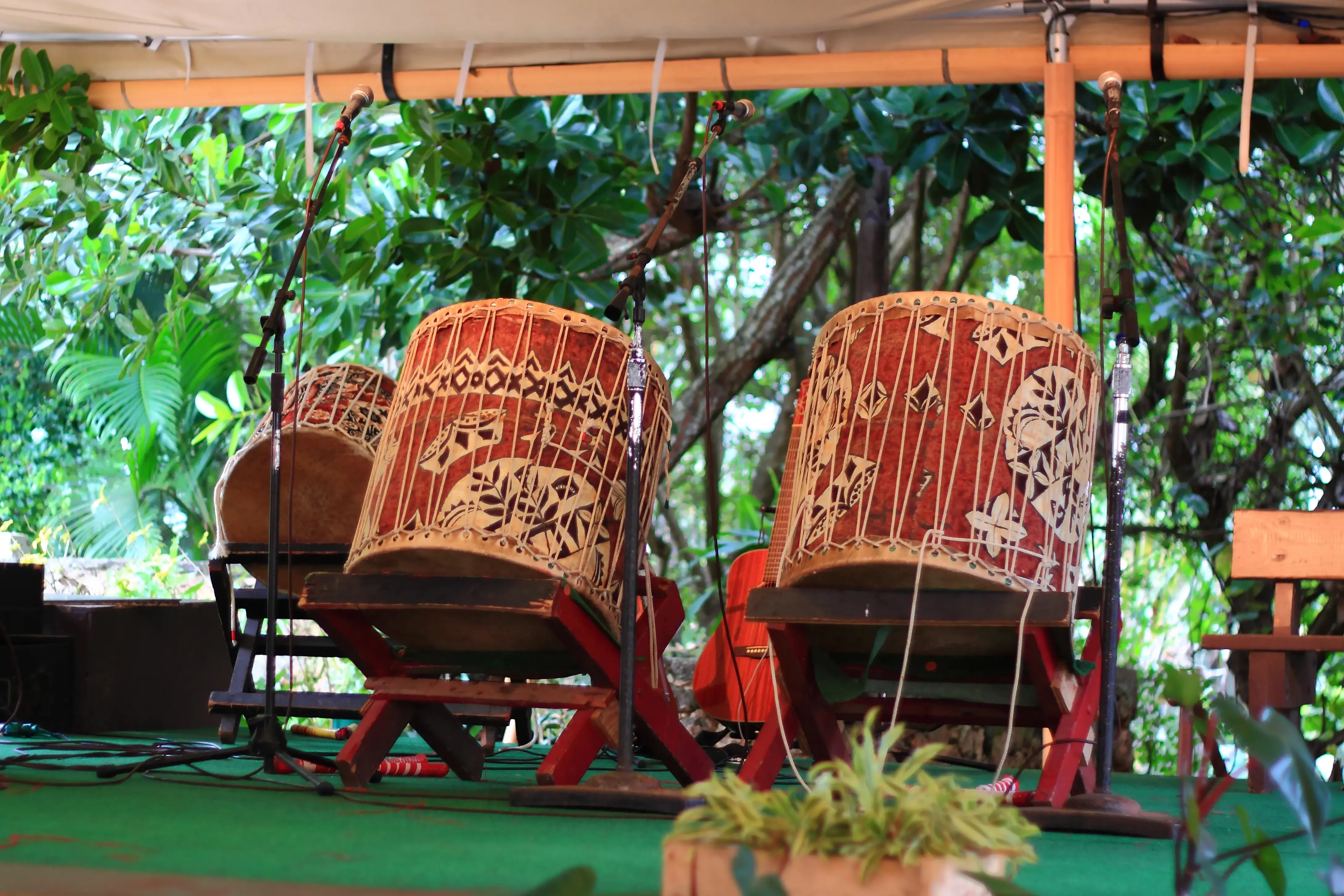 Traditional red Polynesian drums set up for a concert at the Polynesian Cultural Center set beneath a canopy in front of green plants