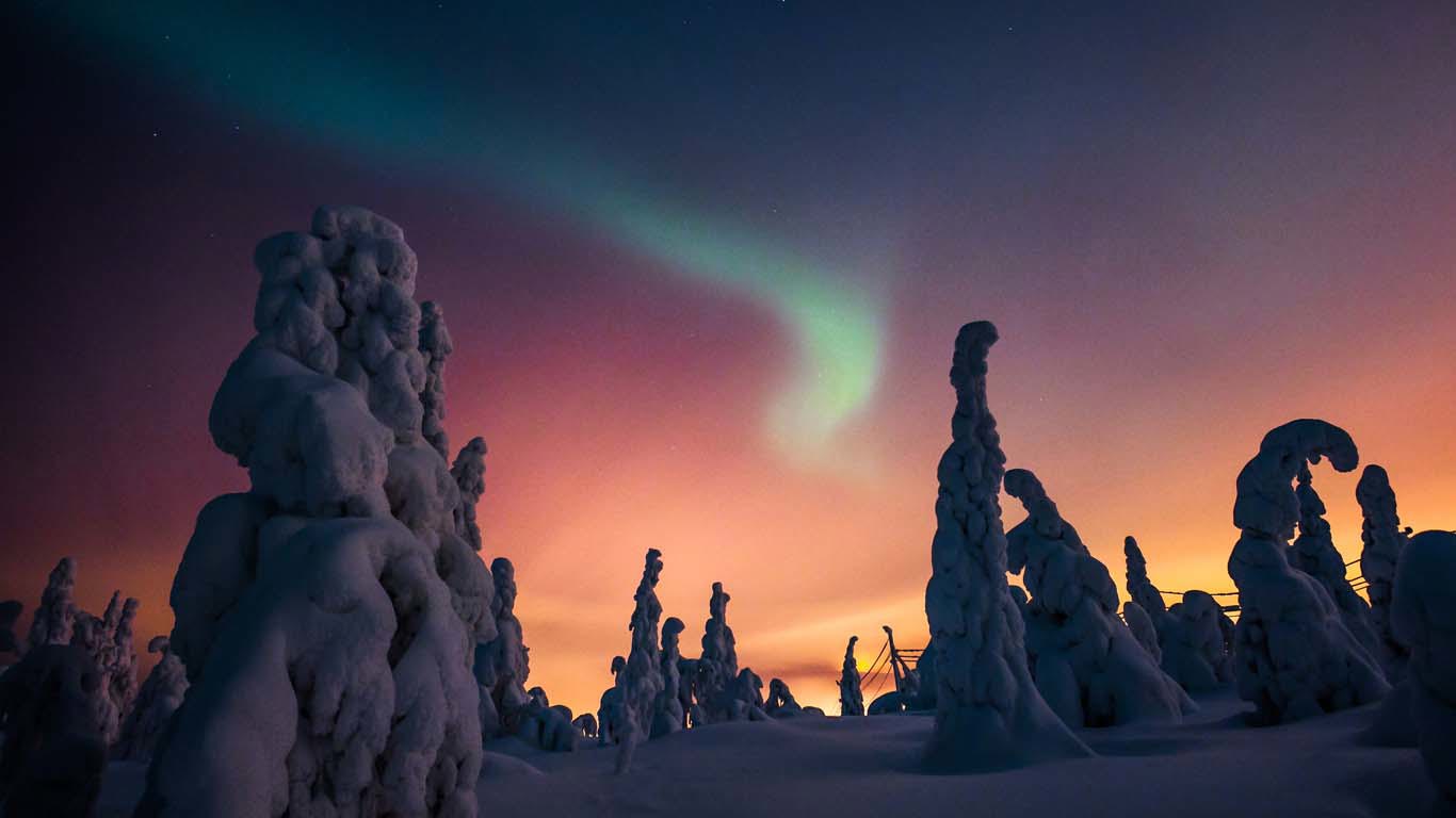 Aurora at sunset with snow covered trees in foreground