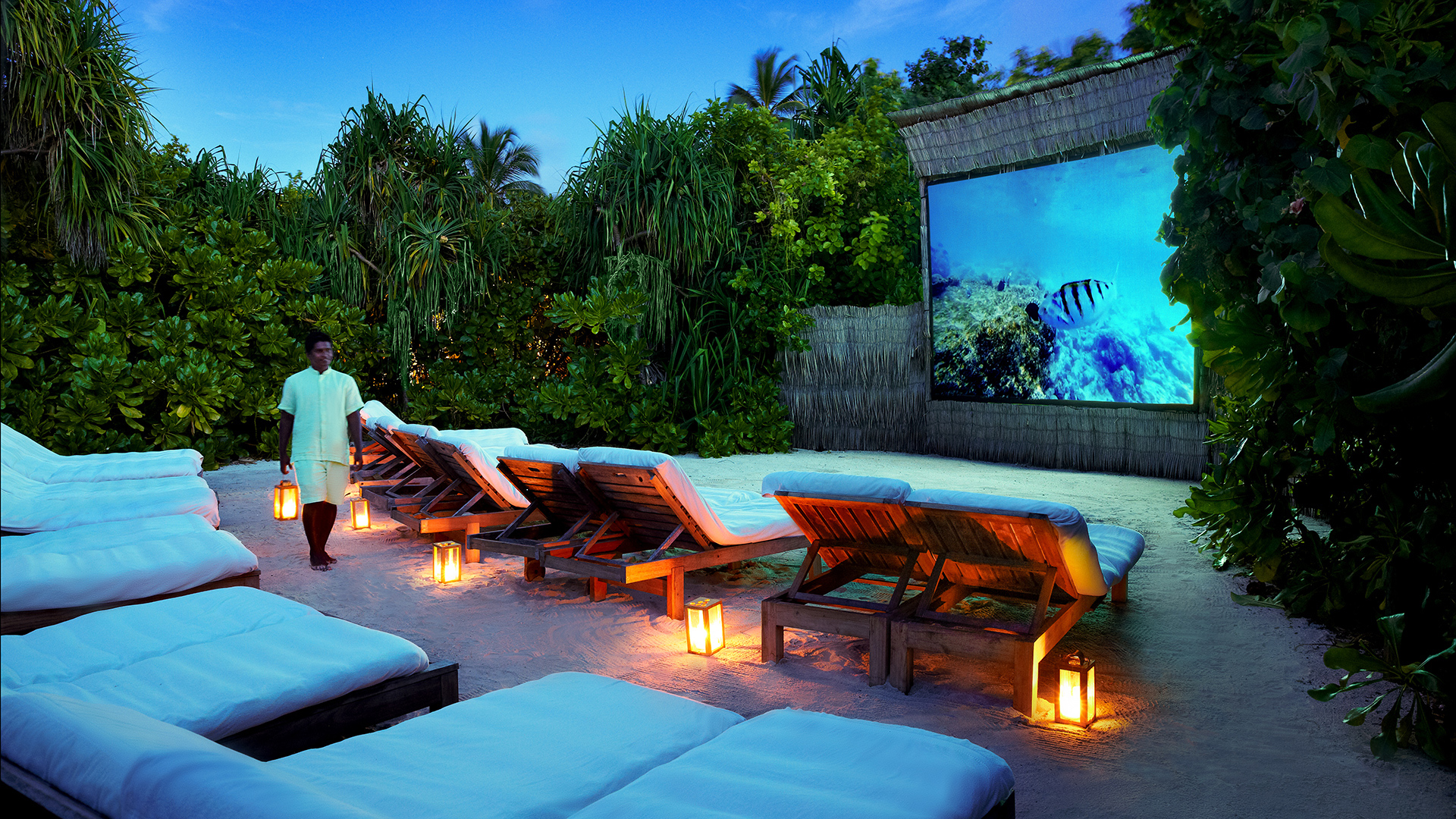Indian Ocean, Maldives, Six Senses Laamu, Jungle Cinema
