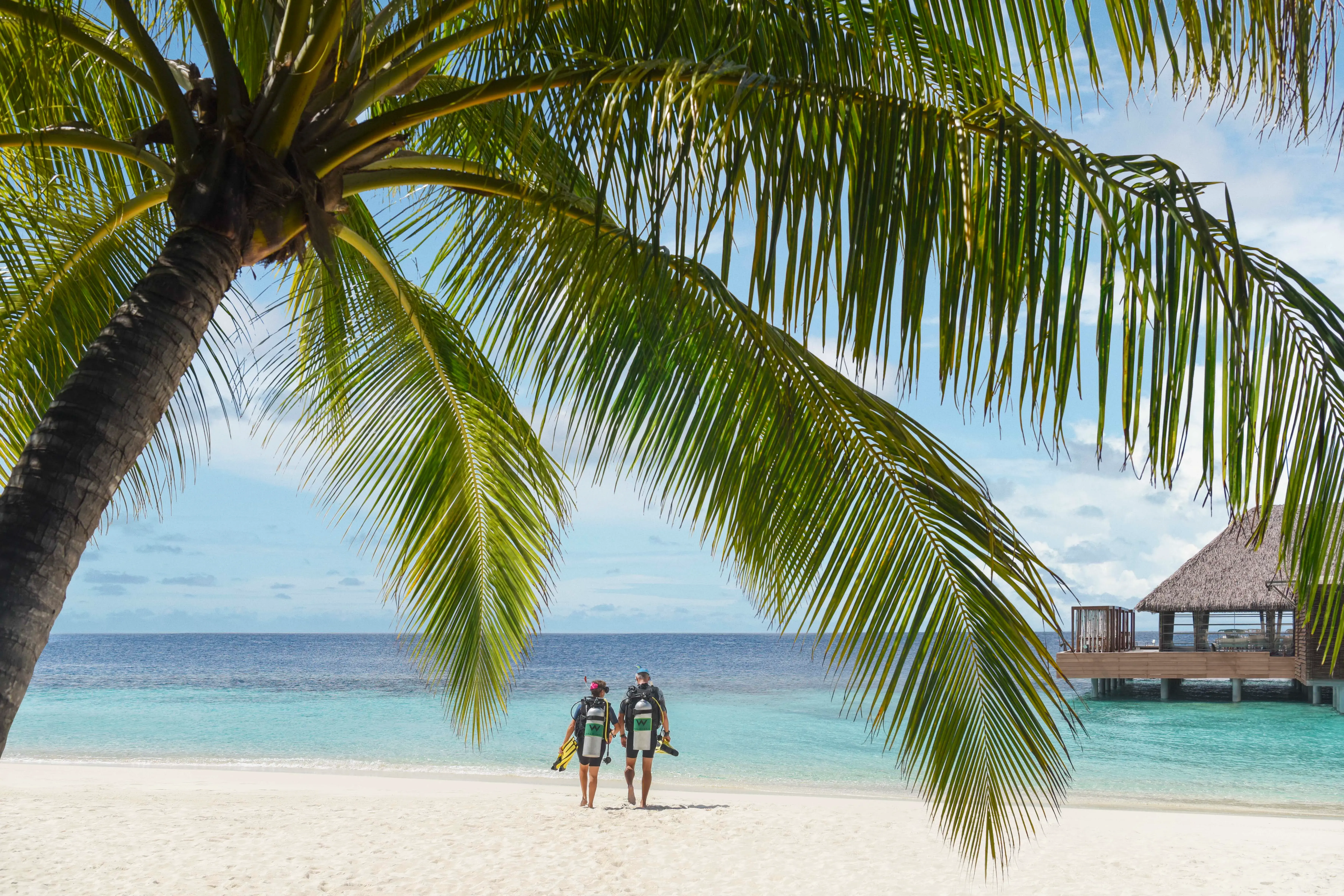 Scuba divers walk along a white-sand beach at W Maldives beneath swaying palm trees, heading toward crystal-clear turquoise waters and world-class diving experiences in the Maldives