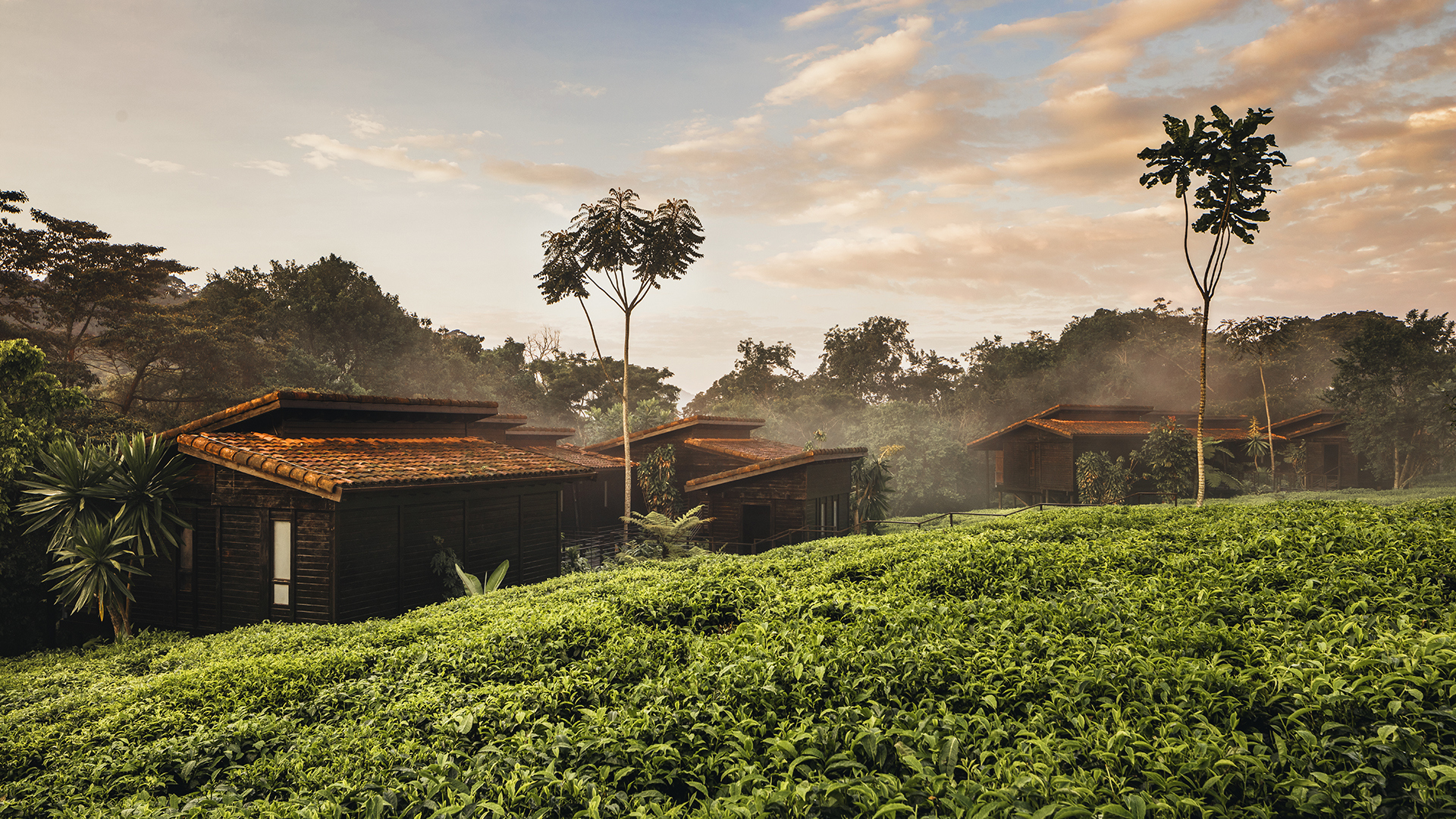  Africa, Rwanda, One&Only Ngyungwe House, House Exteriors