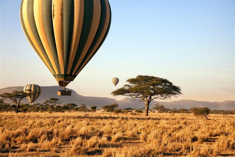 Three hot air balloons over a bush landscape