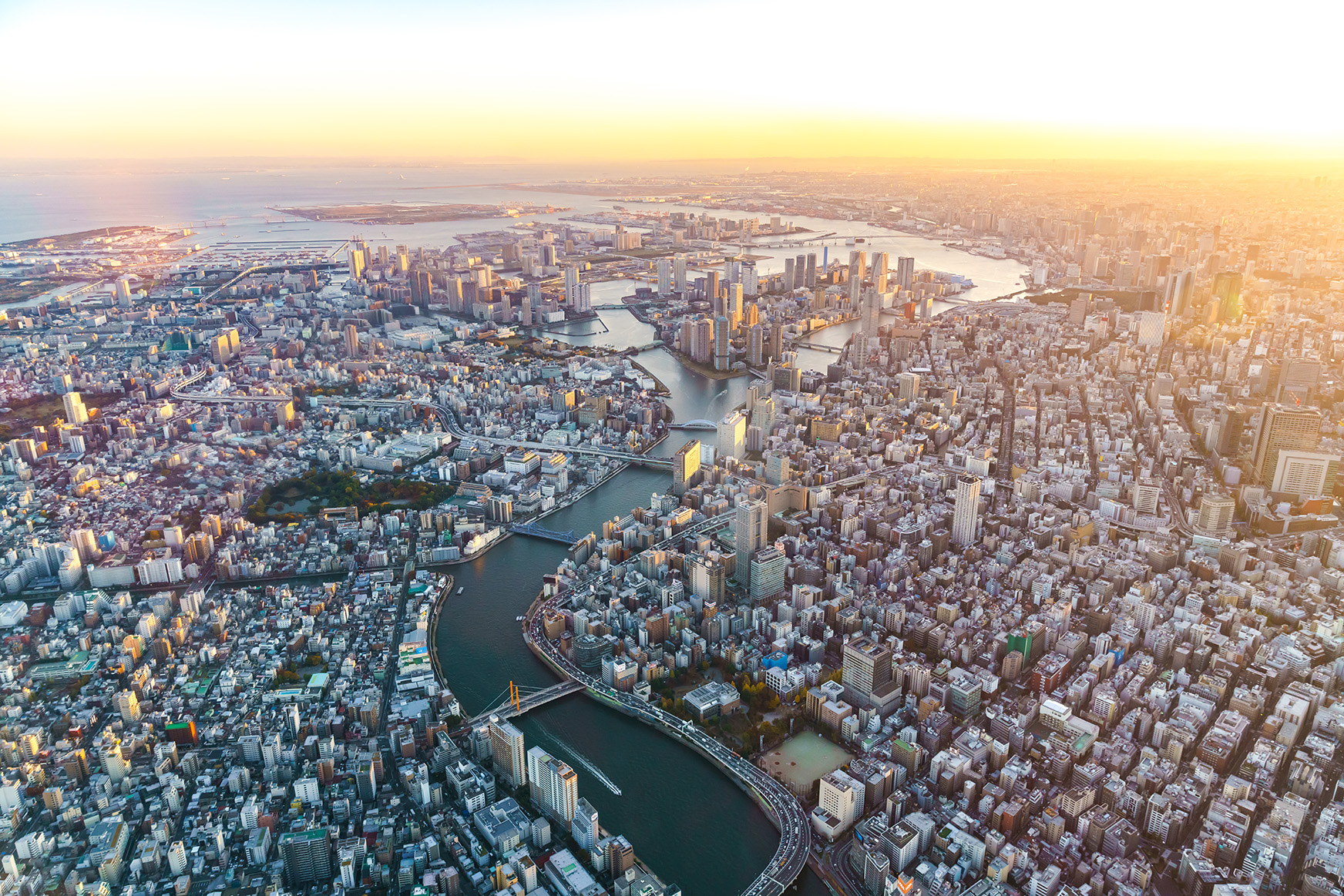 Japan, aerial view of Tokyo