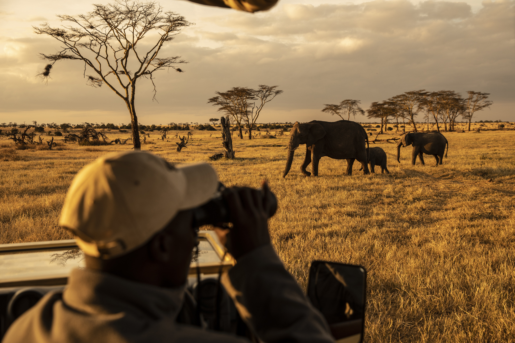 A man in a cap with binoculars viewing a family of elephants in the open savannah