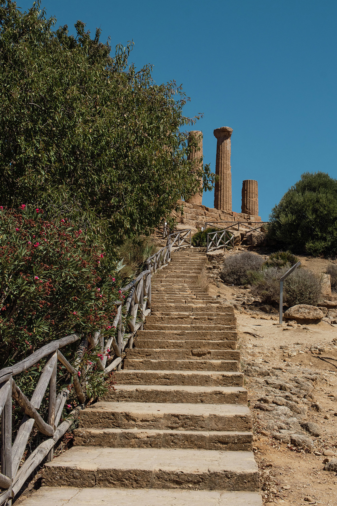 Europe, Italy, Sicily, Agrigento, stairs to temple ruins 
