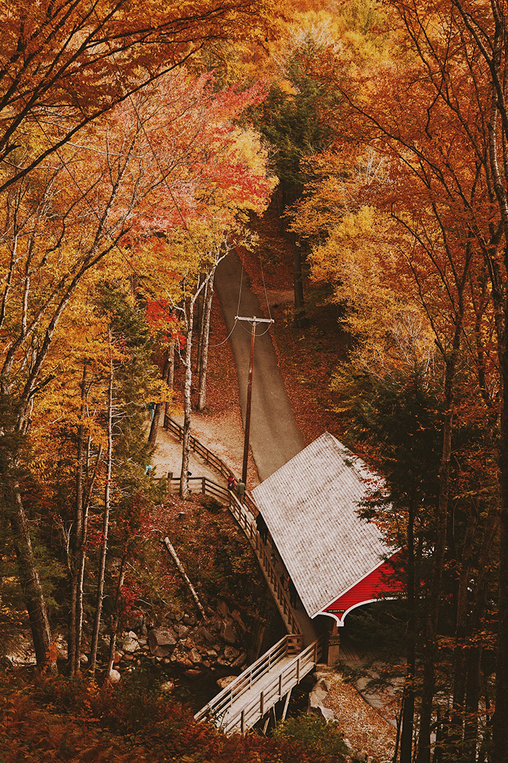 Covred bridge in the White Mountain Forest during autumn