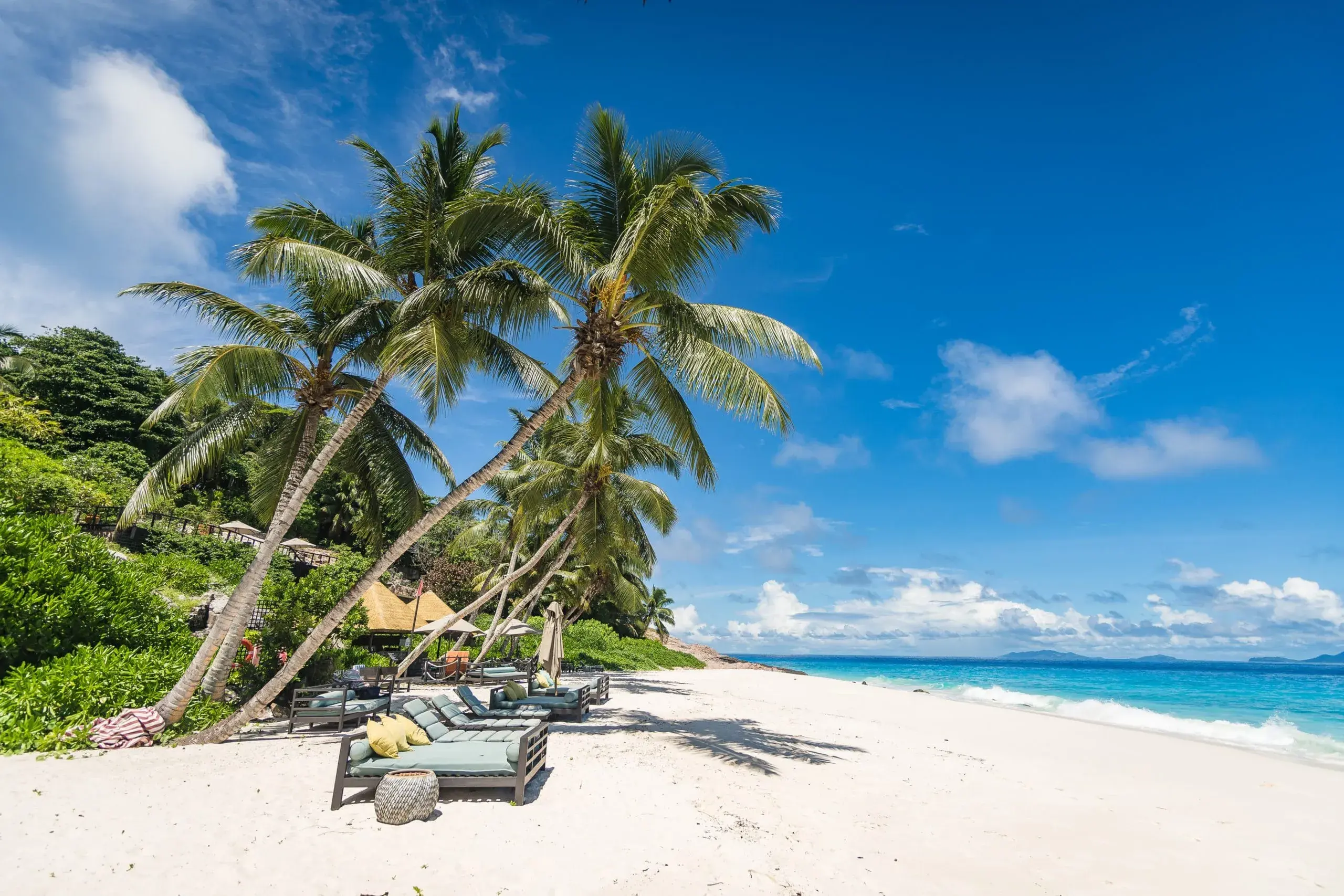 Tropical beach at Fregate Island with white sand, turquoise ocean waves, and palm trees shading lounge chairs under a clear blue sky.