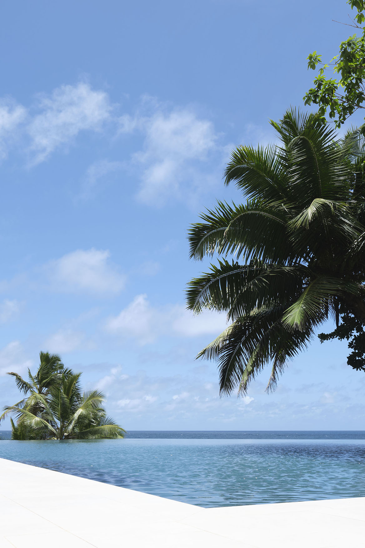 Indian Ocean, Seychelles, Cheval Blanc, Main Pool and Palm Trees