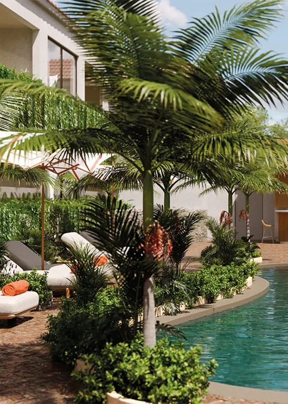 sunloungers and palm trees by the pool at Blue Monkey Barbados