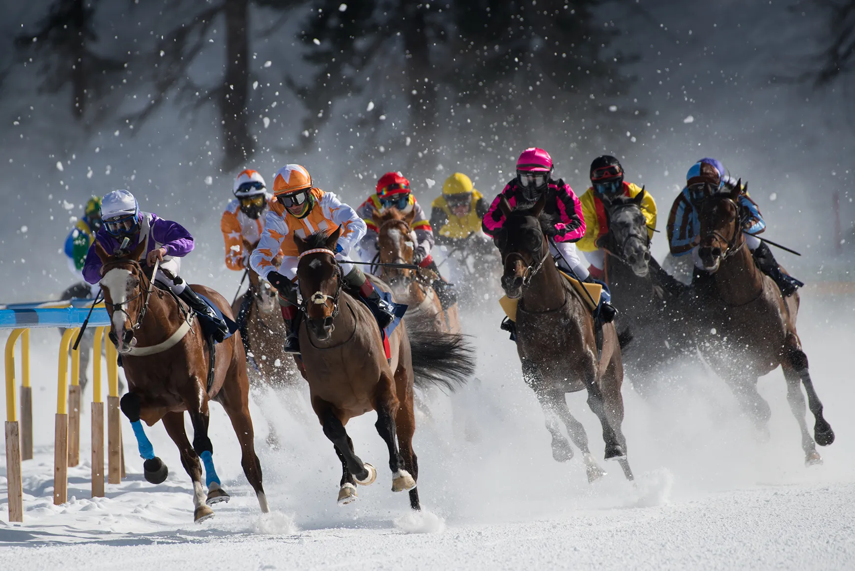 Horse and jokeys racing across the snow at White Turf in St Moritz