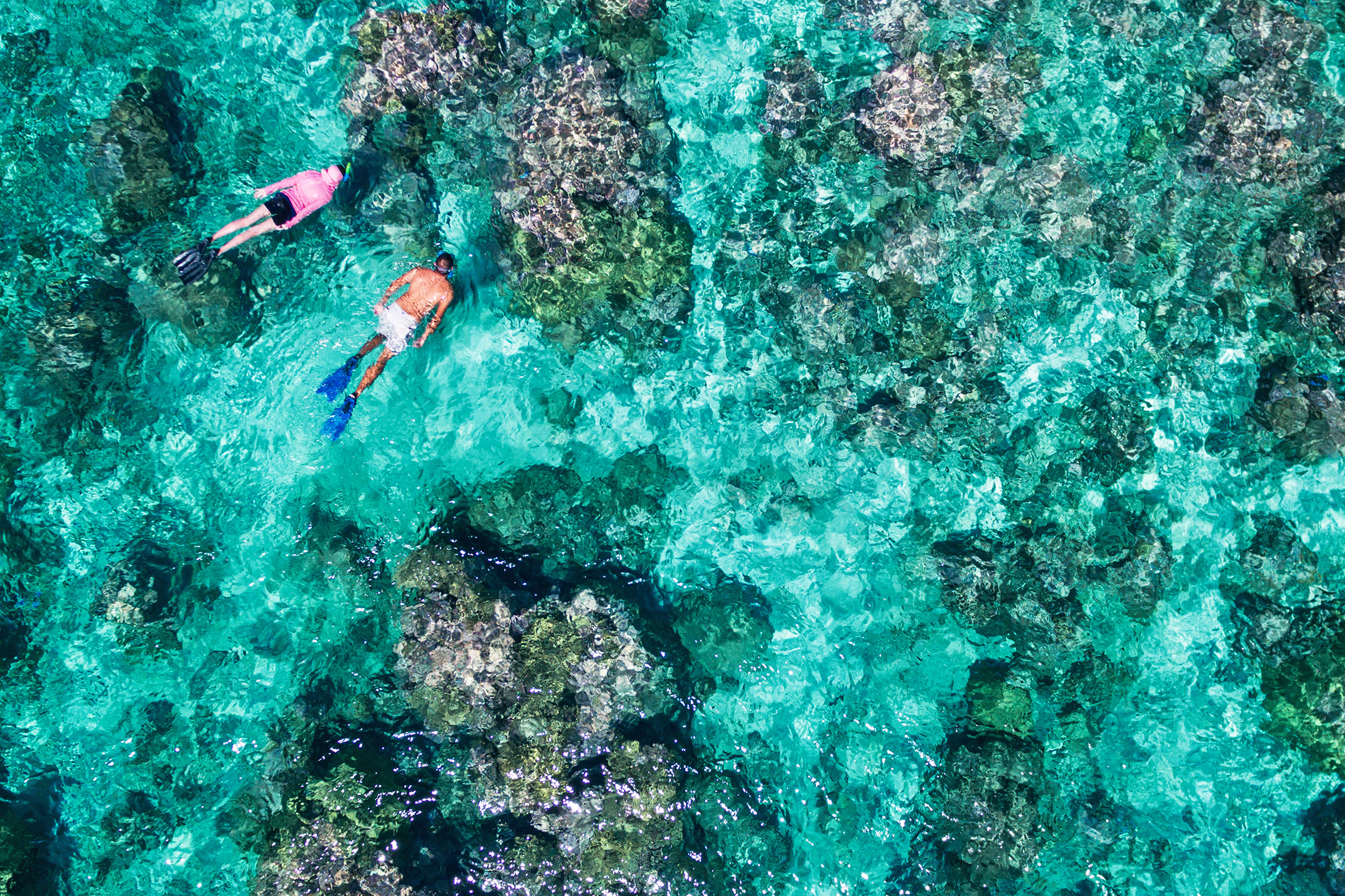 Aerial of two people snorkelling a bright reef 