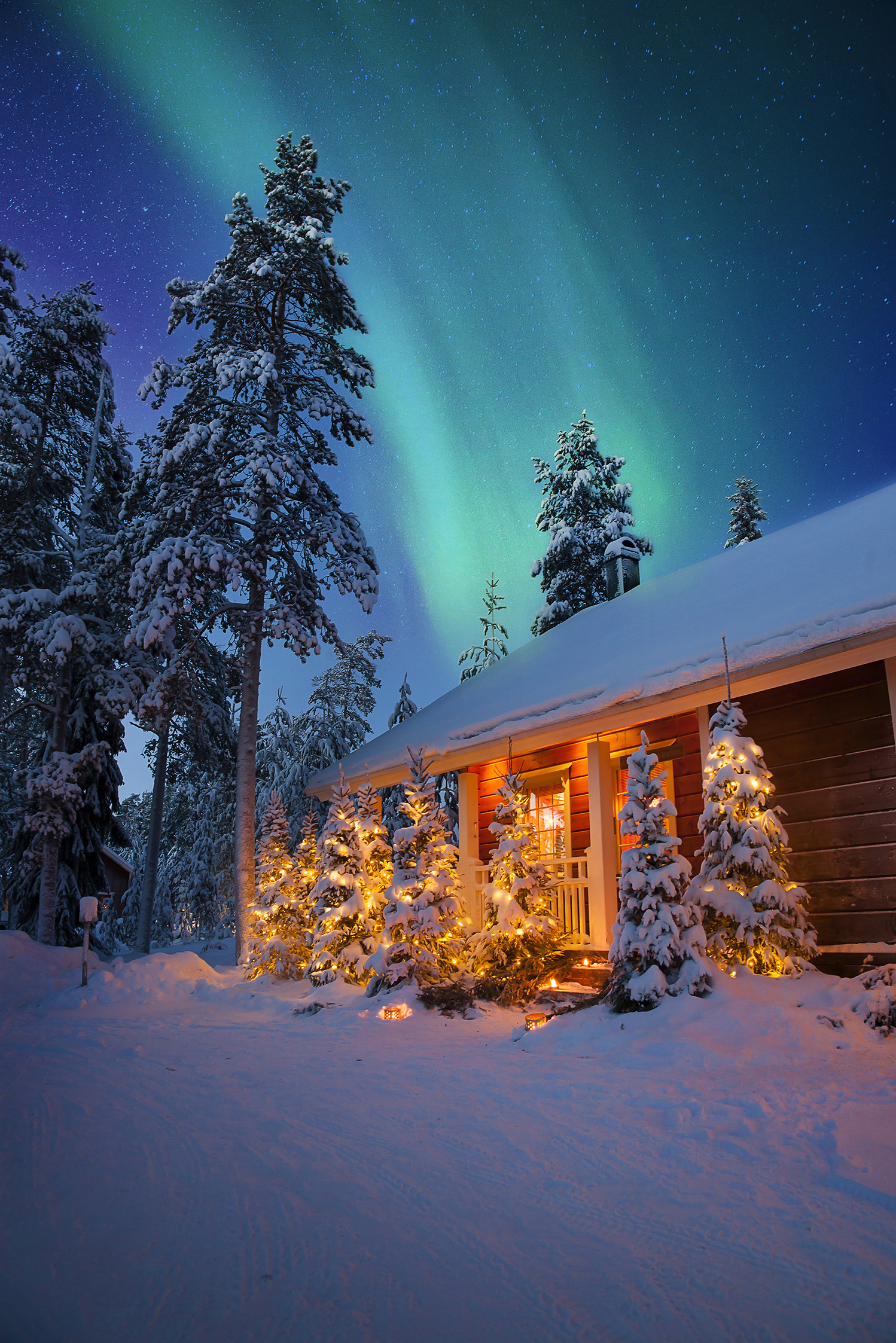 Umbraco.Cms.Core.Models.MediaWithCrops`1[Umbraco.Cms.Web.Common.PublishedModels.Image]