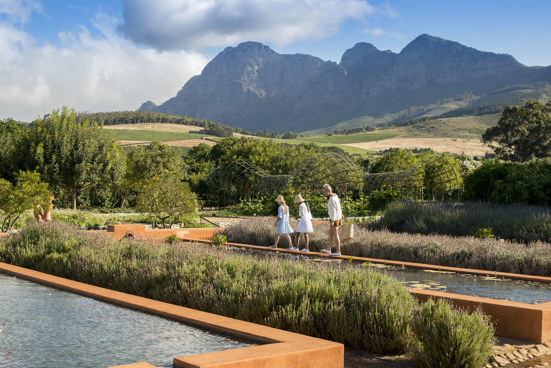 Family walking between the lavender ponds at Babylonstoren South Africa